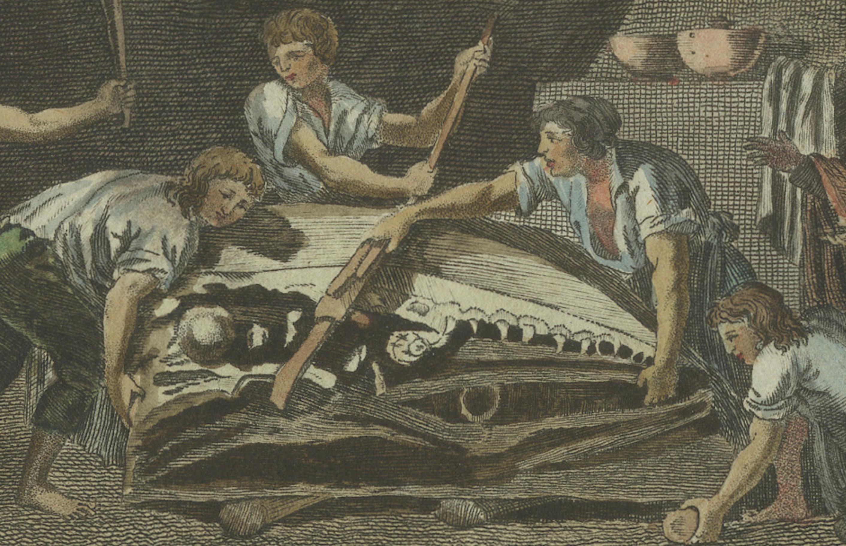 1798 Handkolorierte Gravur – Höhlen des heiligen Peter und Mosasaur Discovery (Graviert) im Angebot