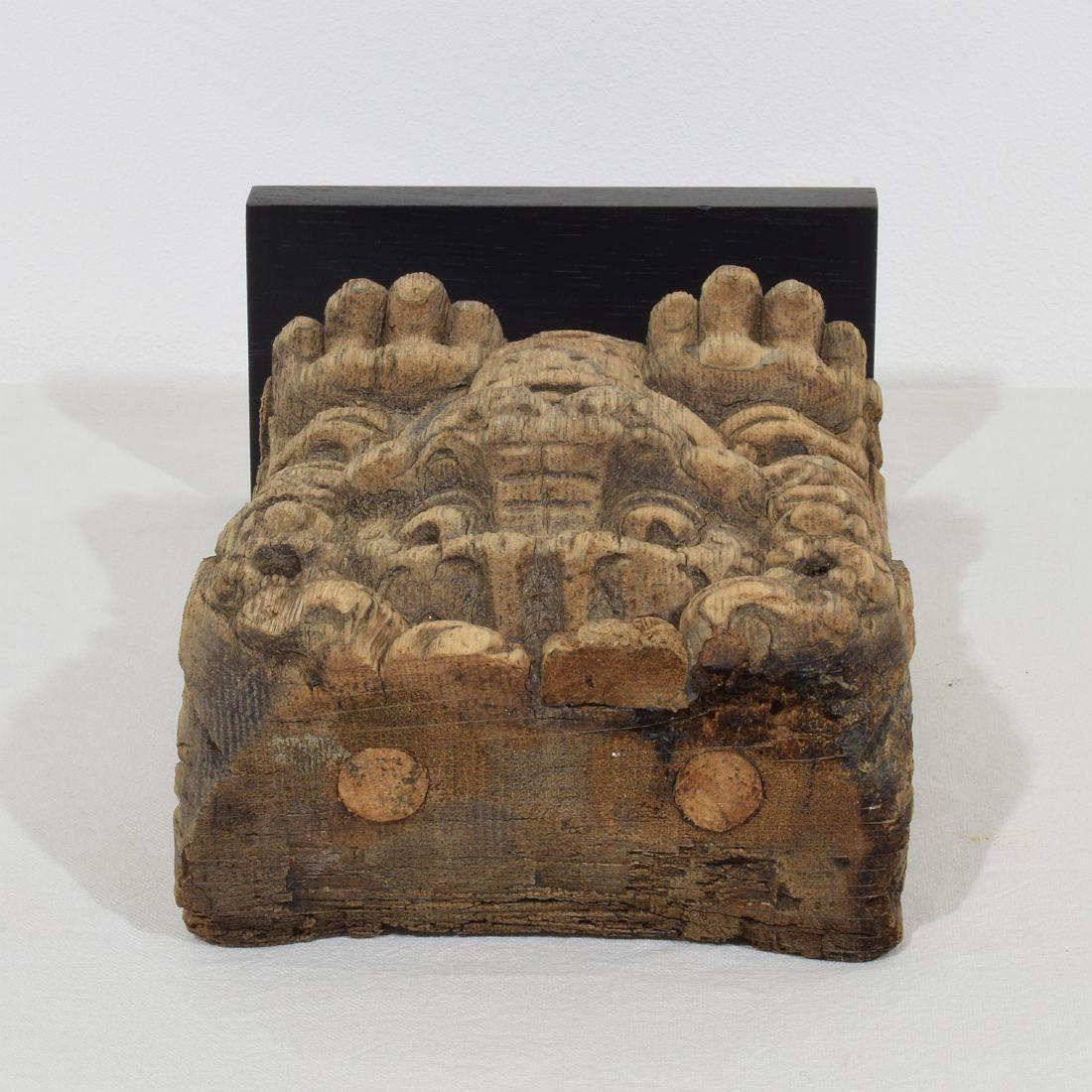17th-18th Century Dutch Carved Oak Lion Fragment For Sale 4