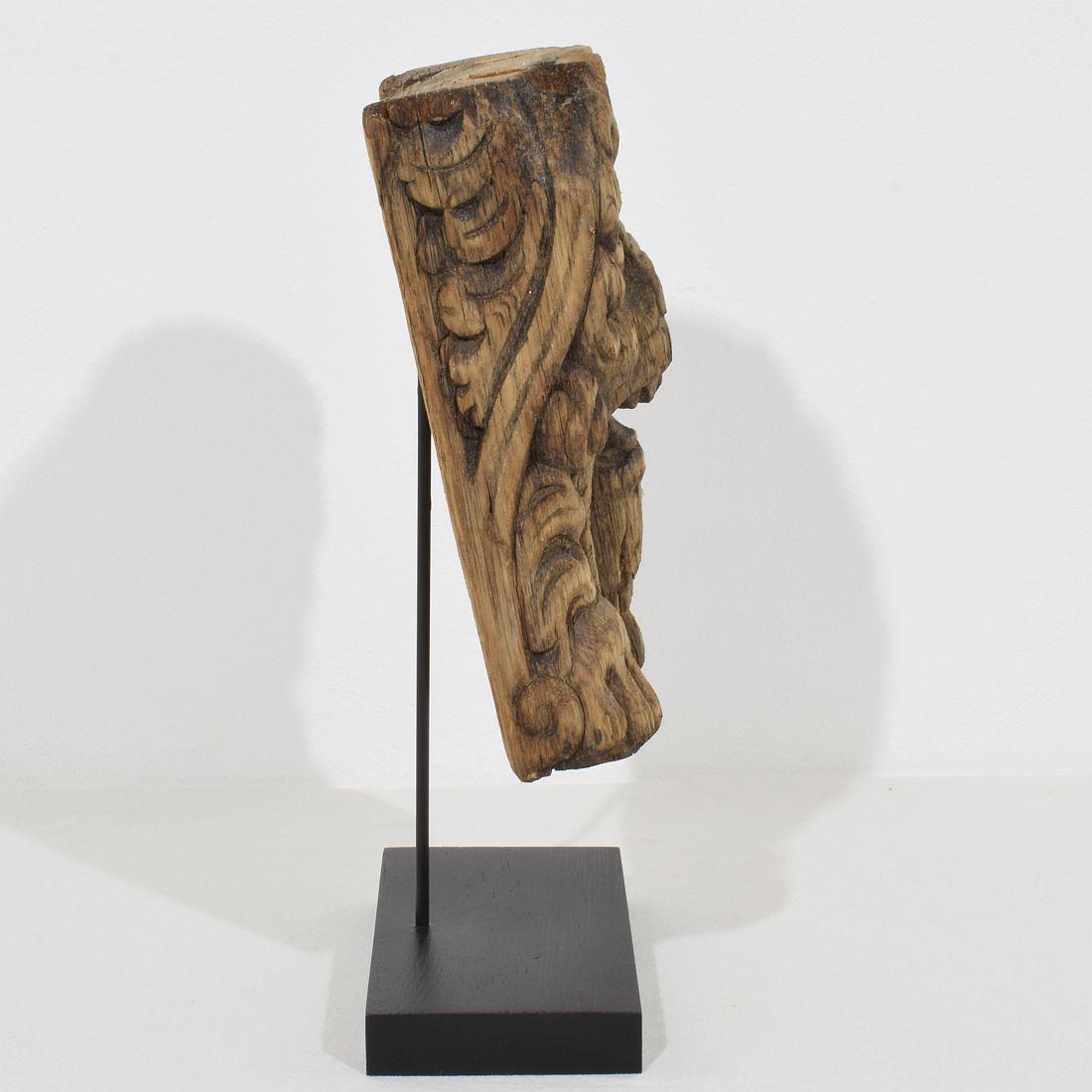 Hand-Carved 17th-18th Century Dutch Carved Oak Lion Fragment For Sale