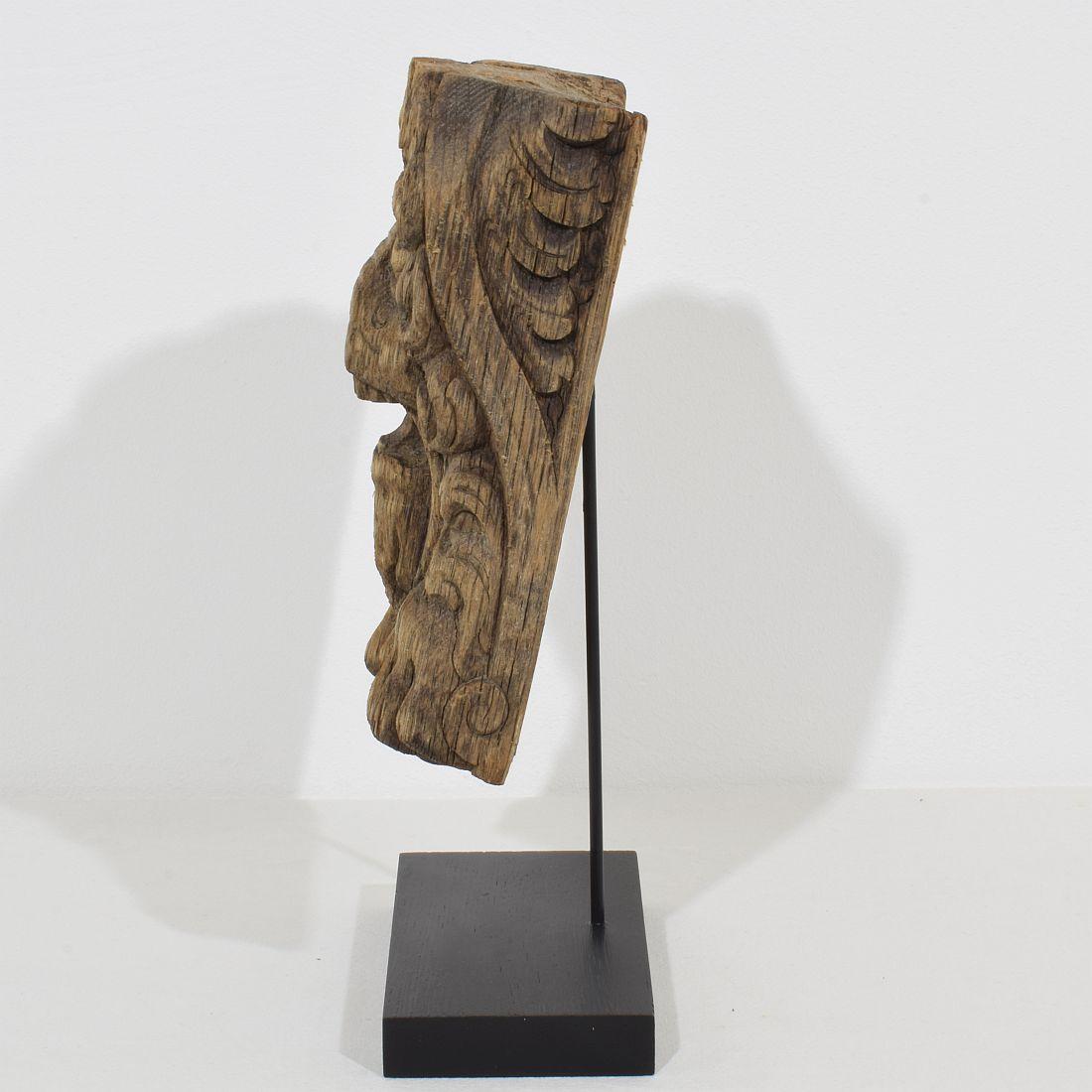 18th Century and Earlier 17th-18th Century Dutch Carved Oak Lion Fragment For Sale