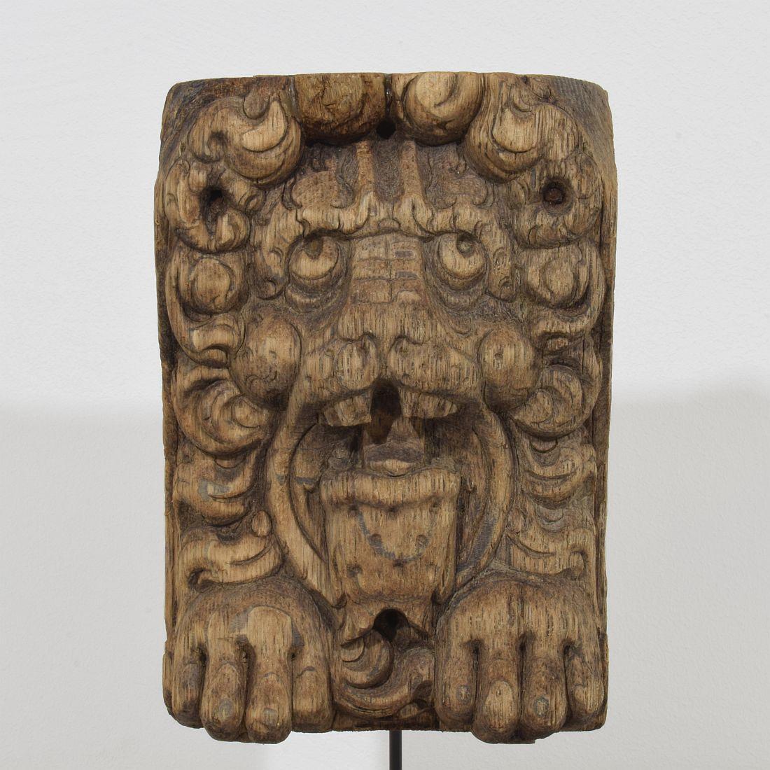 17th-18th Century Dutch Carved Oak Lion Fragment For Sale 1