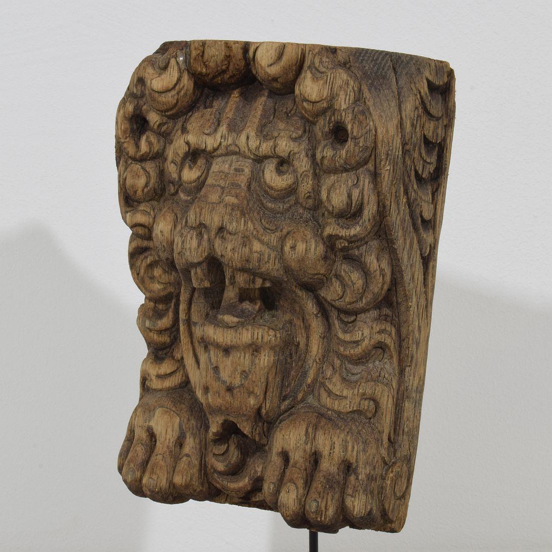 17th-18th Century Dutch Carved Oak Lion Fragment For Sale 2
