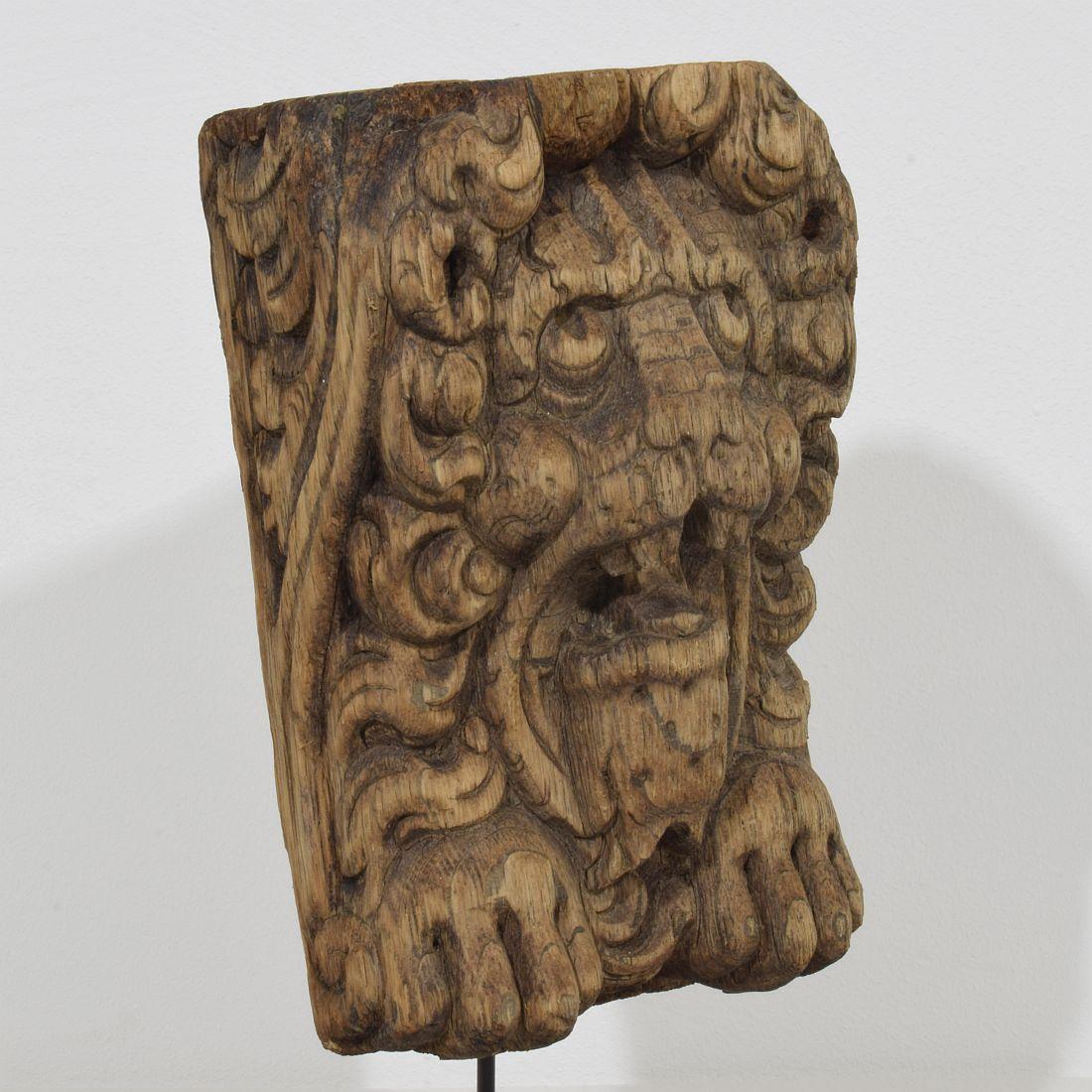 17th-18th Century Dutch Carved Oak Lion Fragment For Sale 3