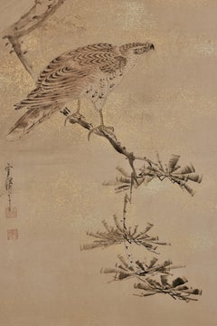 Japanese Painting, Framed, 17th-18th Century, Falcon by Yamaguchi Sekkei