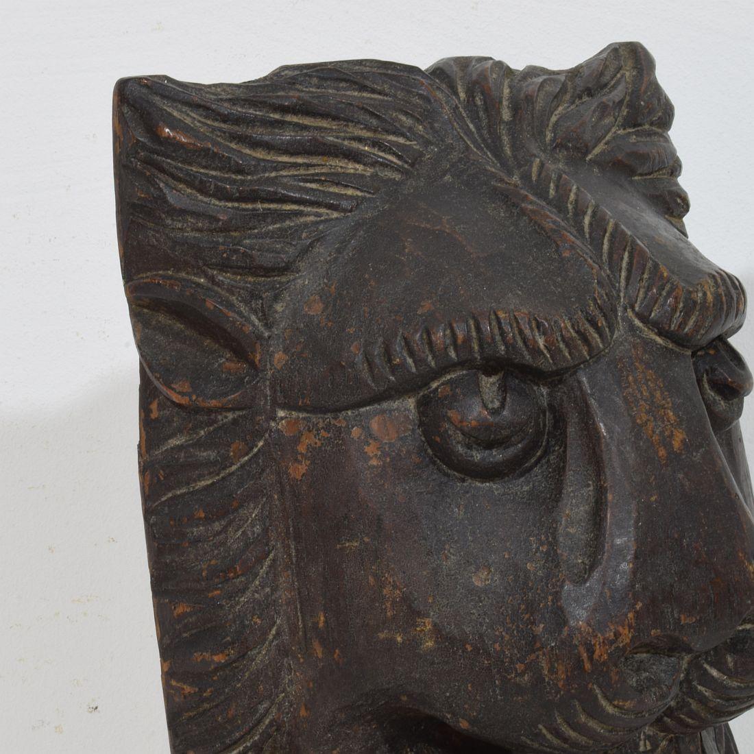 Cabeza de león de madera tallada francesa de los siglos XVII-XVIII en venta 2