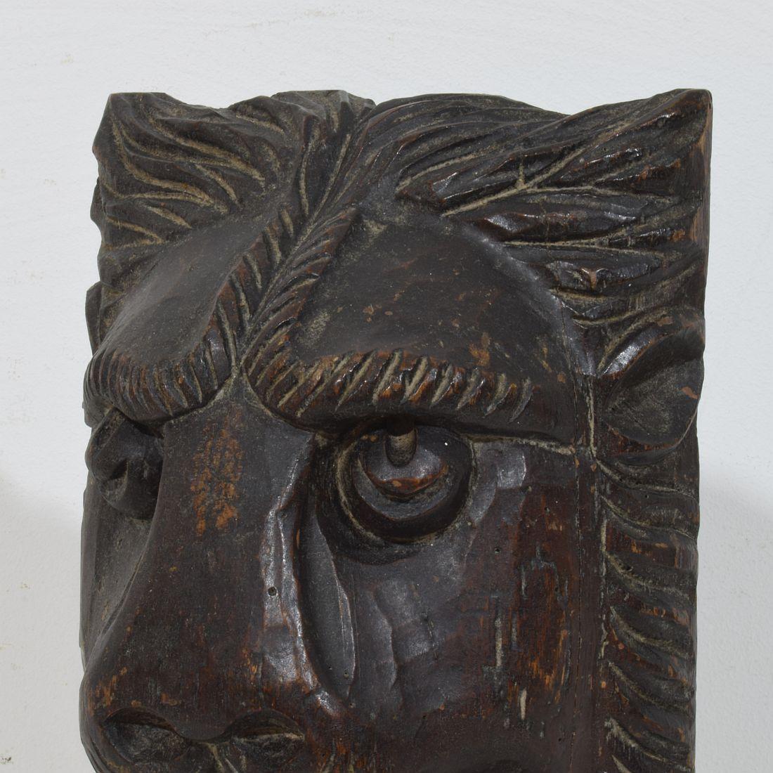 Cabeza de león de madera tallada francesa de los siglos XVII-XVIII en venta 3