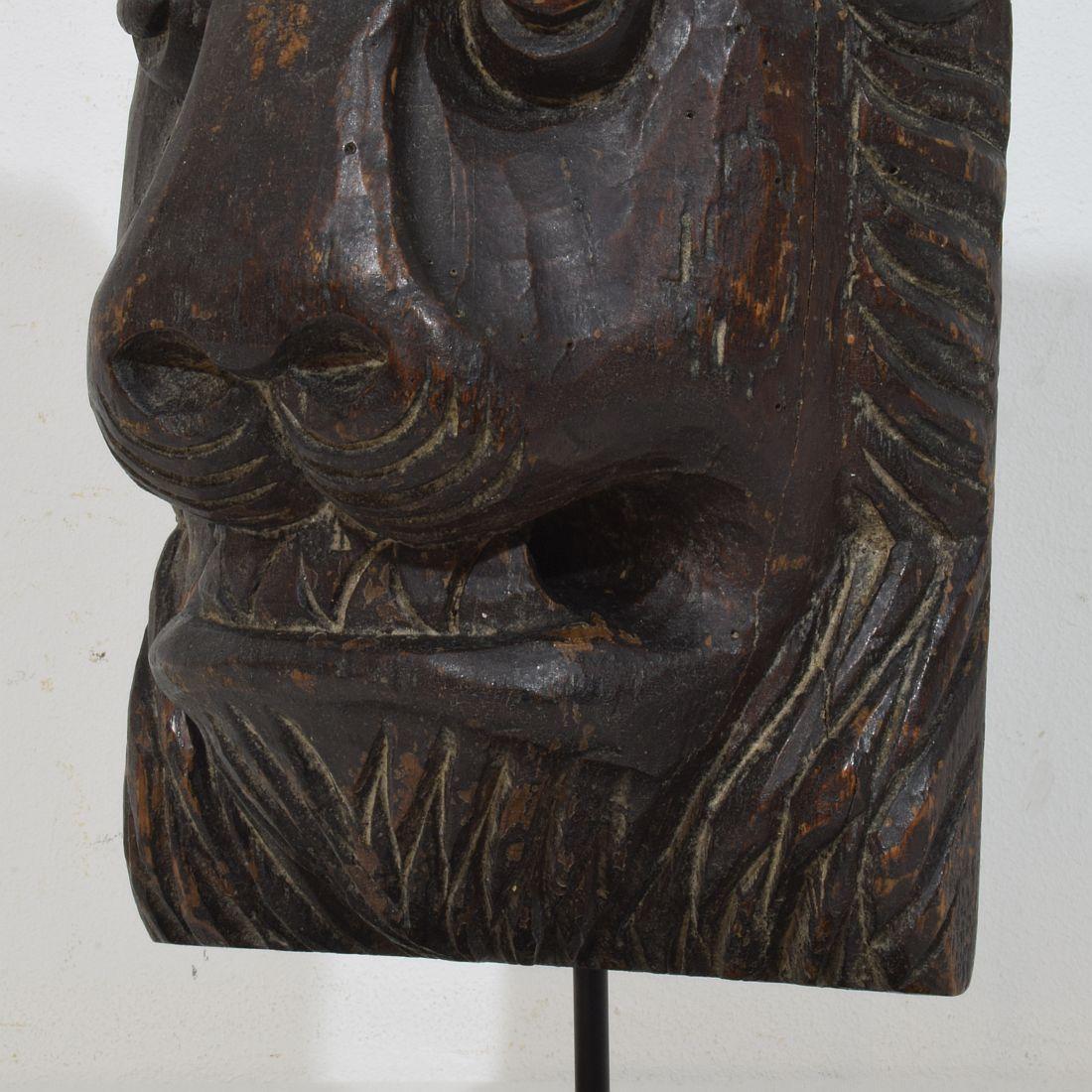 17th/18th Century French Carved Wooden Lion Head For Sale 6