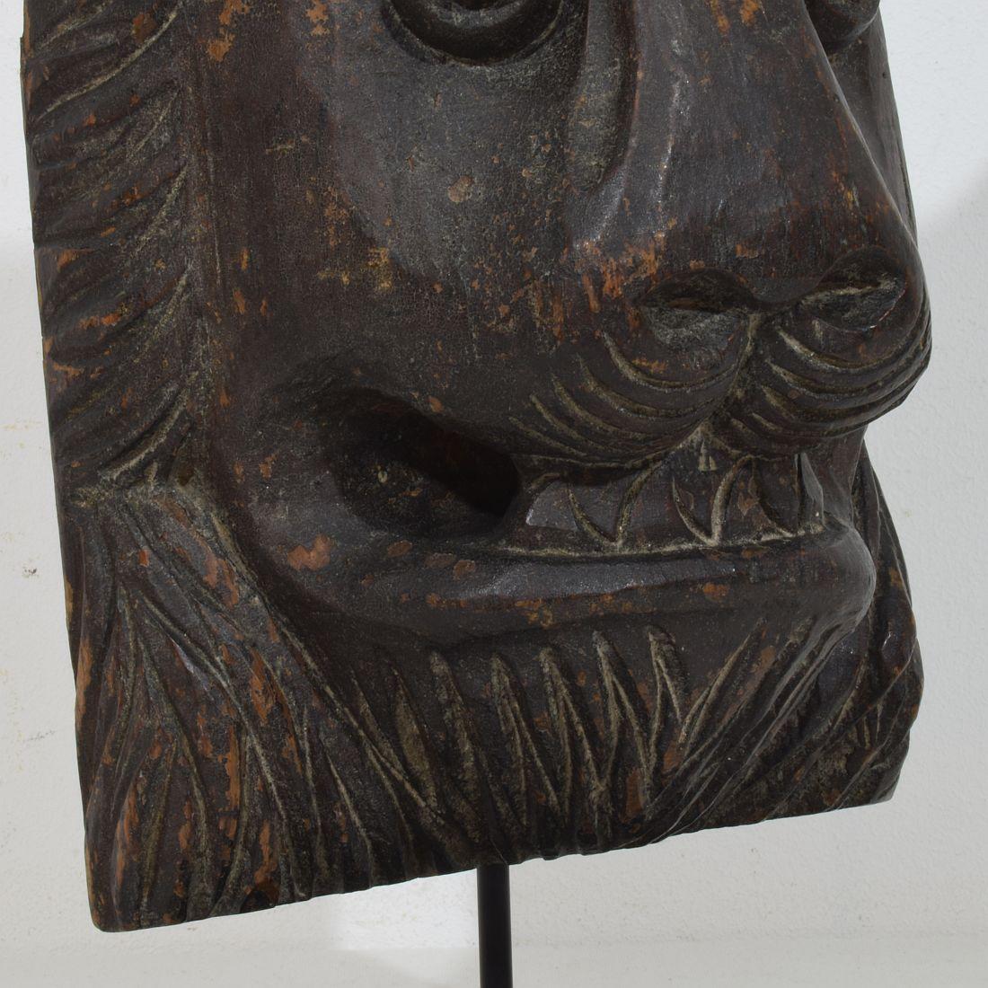 Cabeza de león de madera tallada francesa de los siglos XVII-XVIII en venta 5