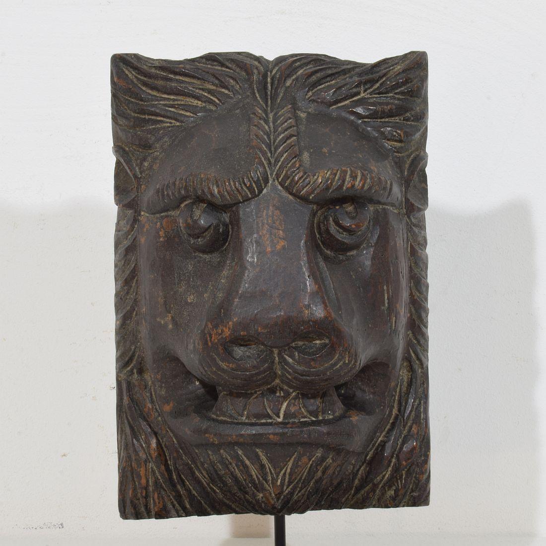 Cabeza de león de madera tallada francesa de los siglos XVII-XVIII Madera en venta