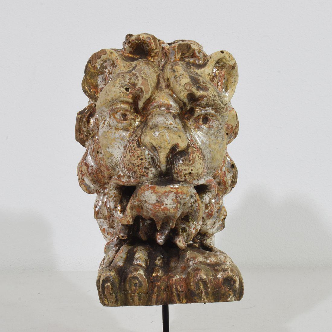 17th/18th Century Italian Carved and Silvered Wooden Lion Head 4