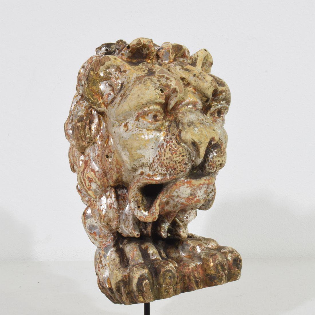 17th/18th Century Italian Carved and Silvered Wooden Lion Head 5