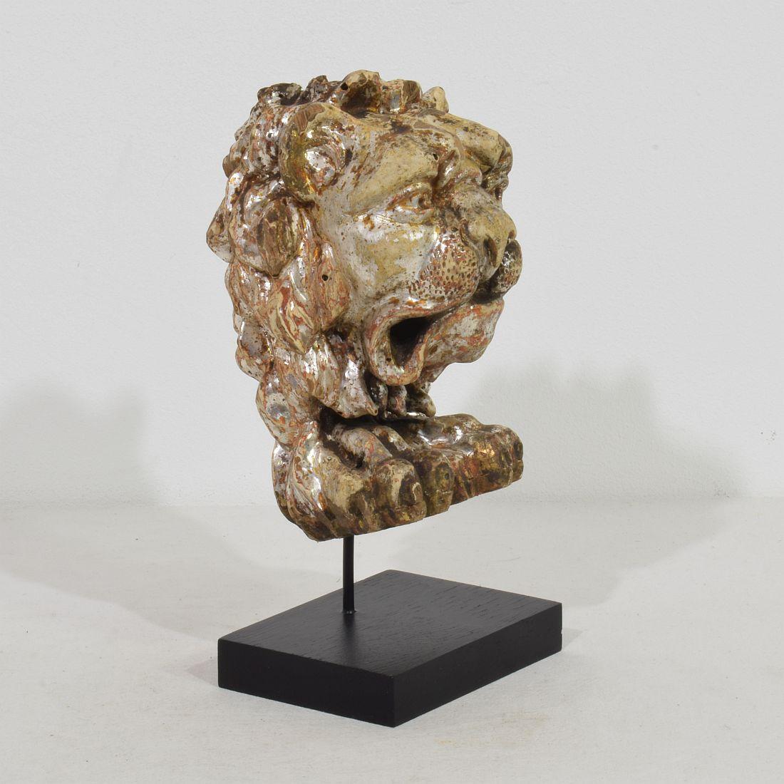17th/18th Century Italian Carved and Silvered Wooden Lion Head In Good Condition In Buisson, FR