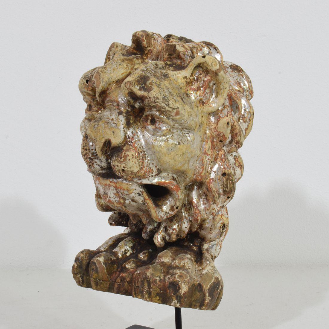 17th/18th Century Italian Carved and Silvered Wooden Lion Head 3