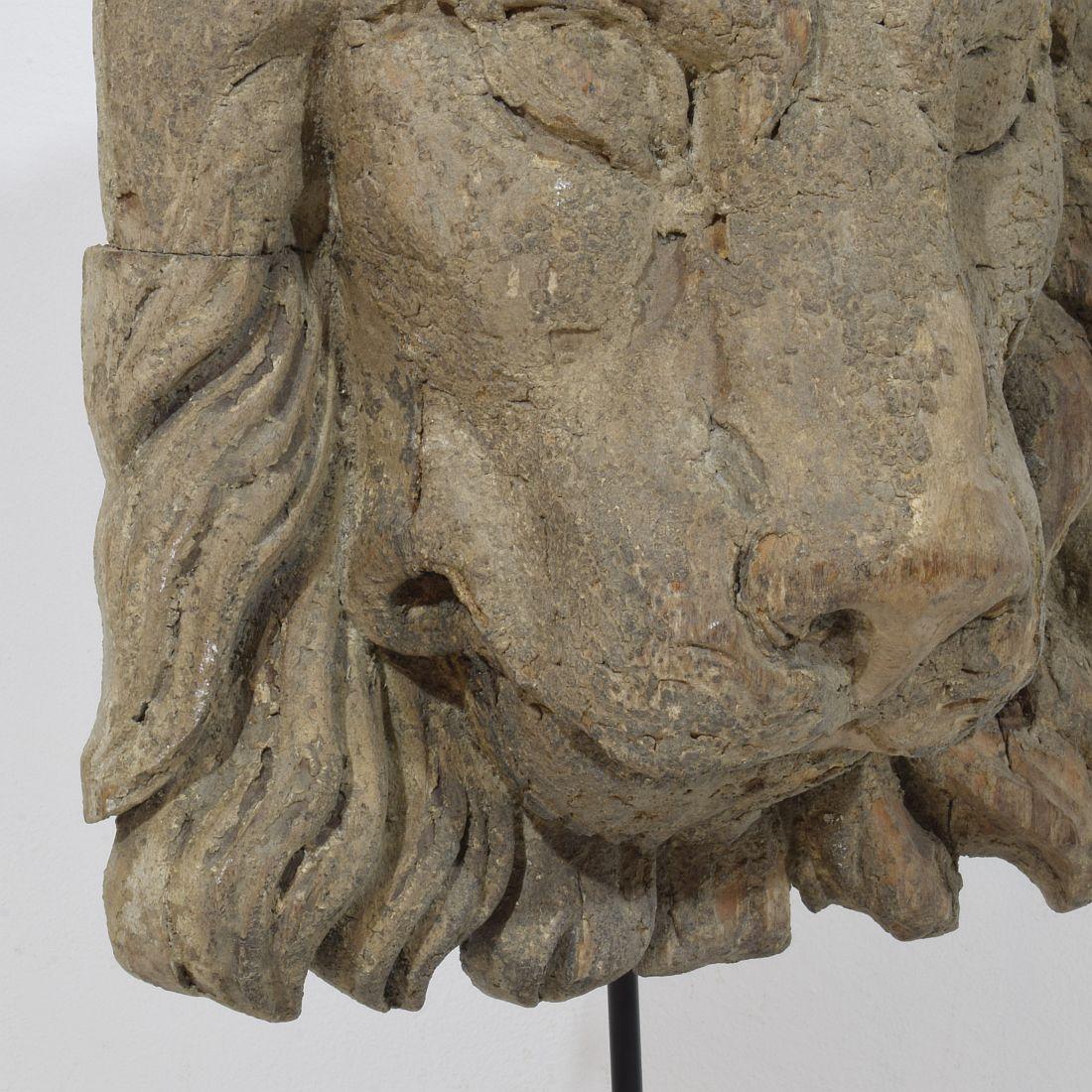 17th/18th Century Italian Carved Wooden Lion Head For Sale 6