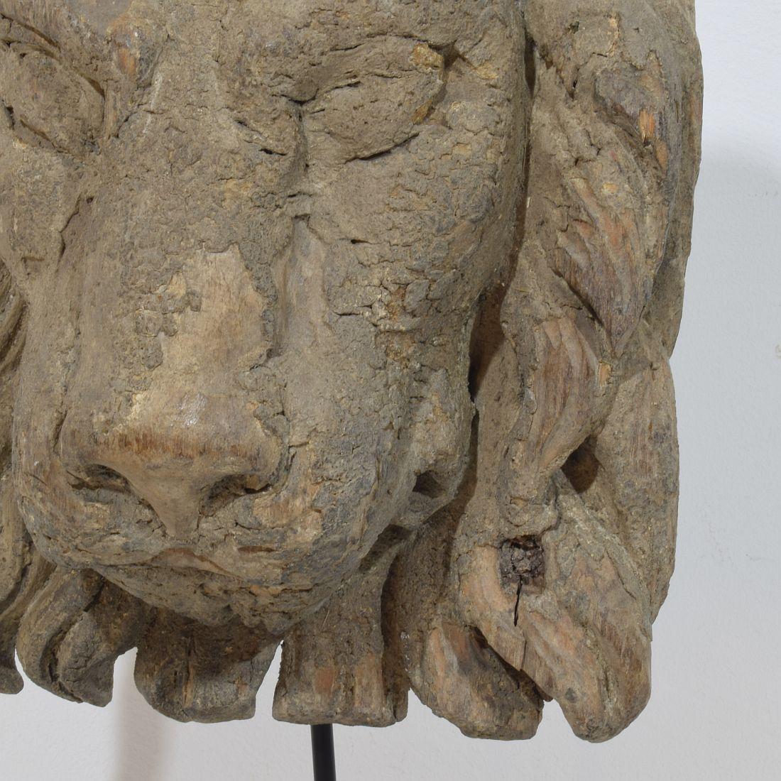 17th/18th Century Italian Carved Wooden Lion Head For Sale 8