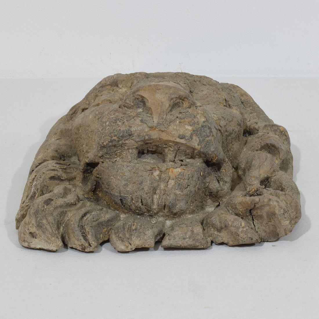 17th/18th Century Italian Carved Wooden Lion Head For Sale 11