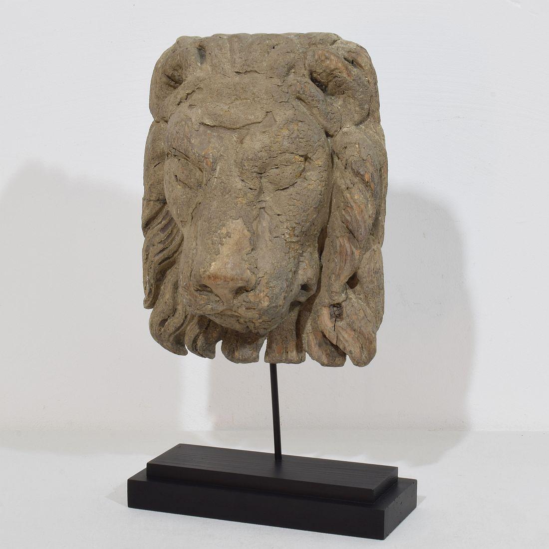 Magnifique tête de lion en bois sculptée à la main, très patinée en raison de son extrême ancienneté.
Région Venise ,Italie circa 1650-1750
Les mesures incluent la base en bois. 