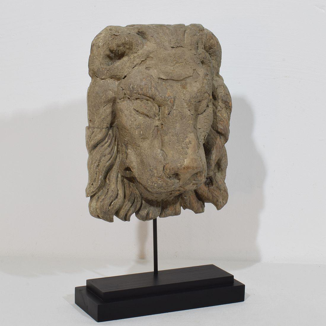 Rustic 17th/18th Century Italian Carved Wooden Lion Head For Sale