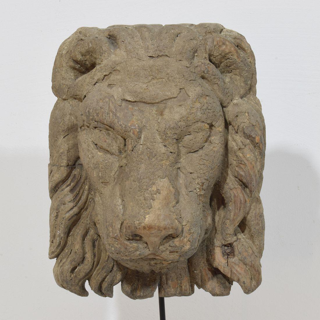 17th/18th Century Italian Carved Wooden Lion Head For Sale 1