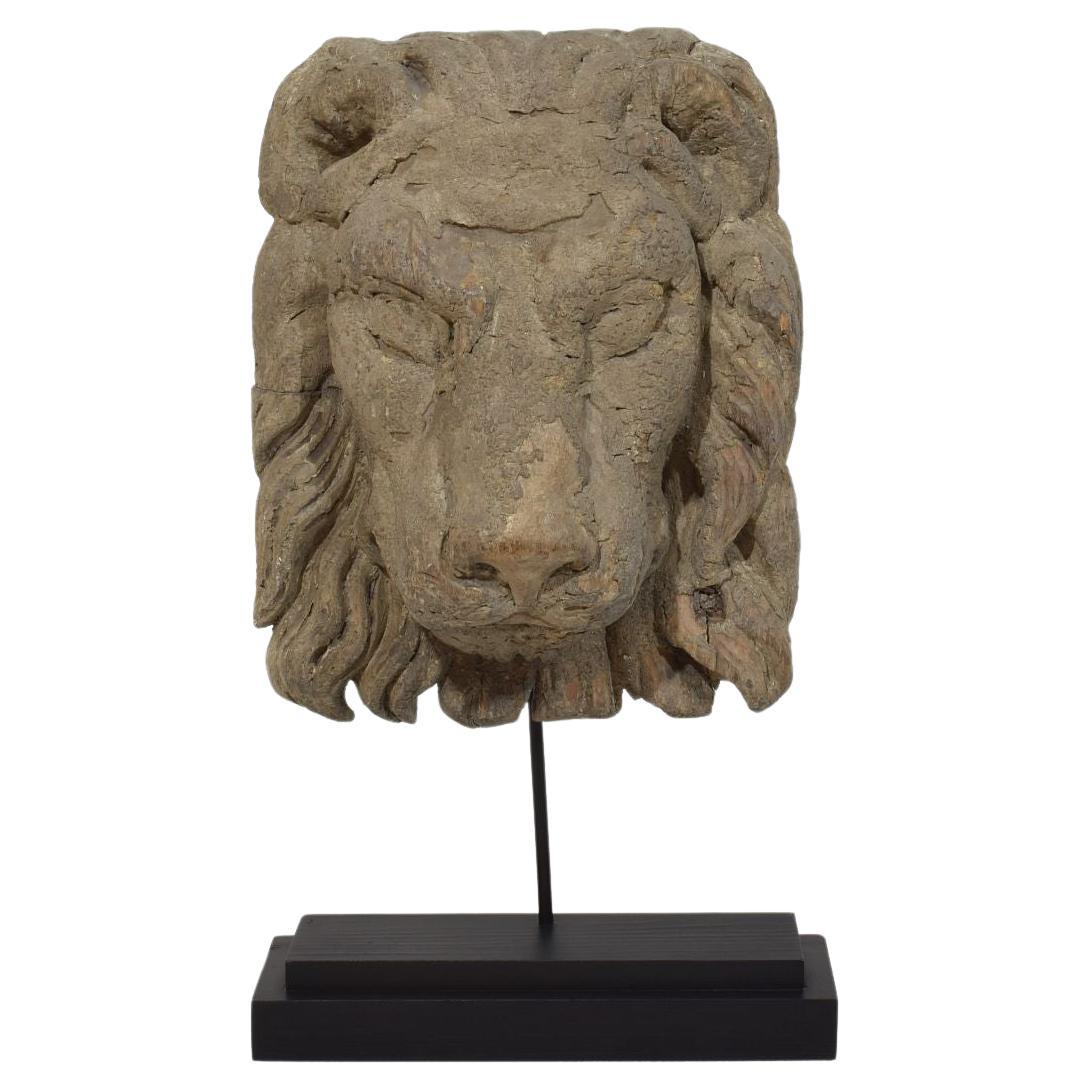 Tête de lion en bois sculpté italien du 17e/18e siècle