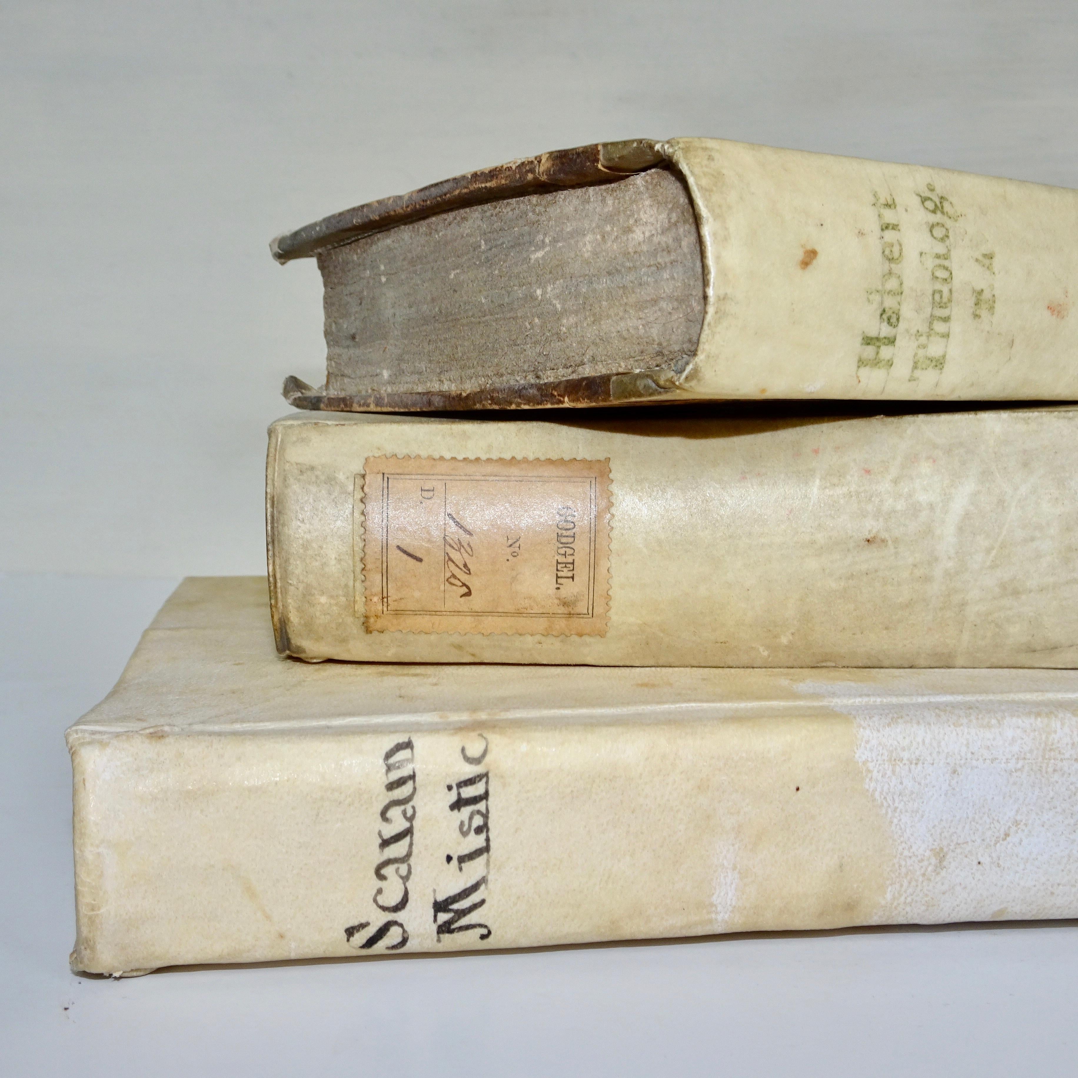 17th and 18th Century Collection of Eight Vellum Books  For Sale 1