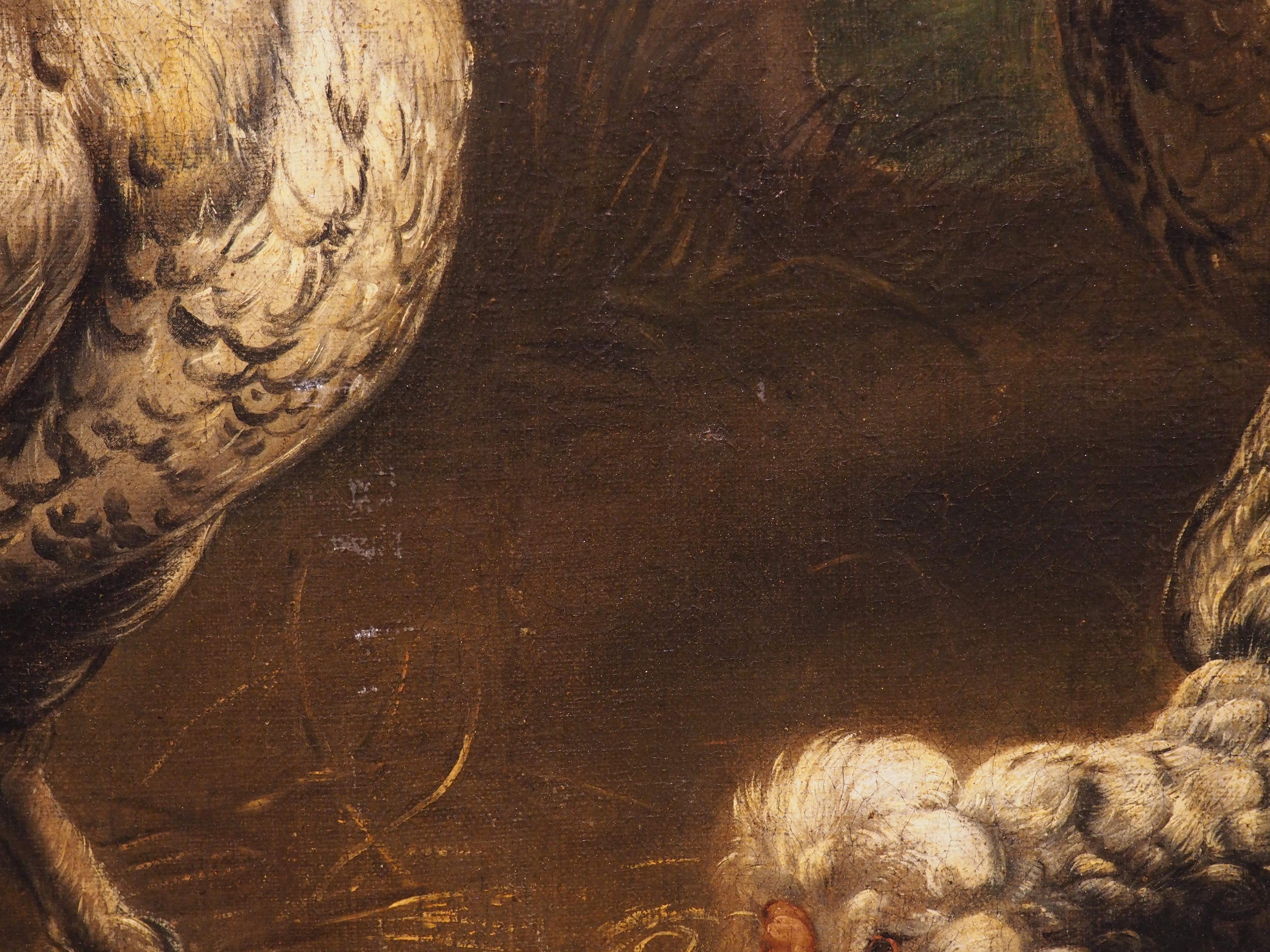 17th C. Dutch Painting of a Flock of Chickens, Attrib. to Melchior Hondecoeter 2