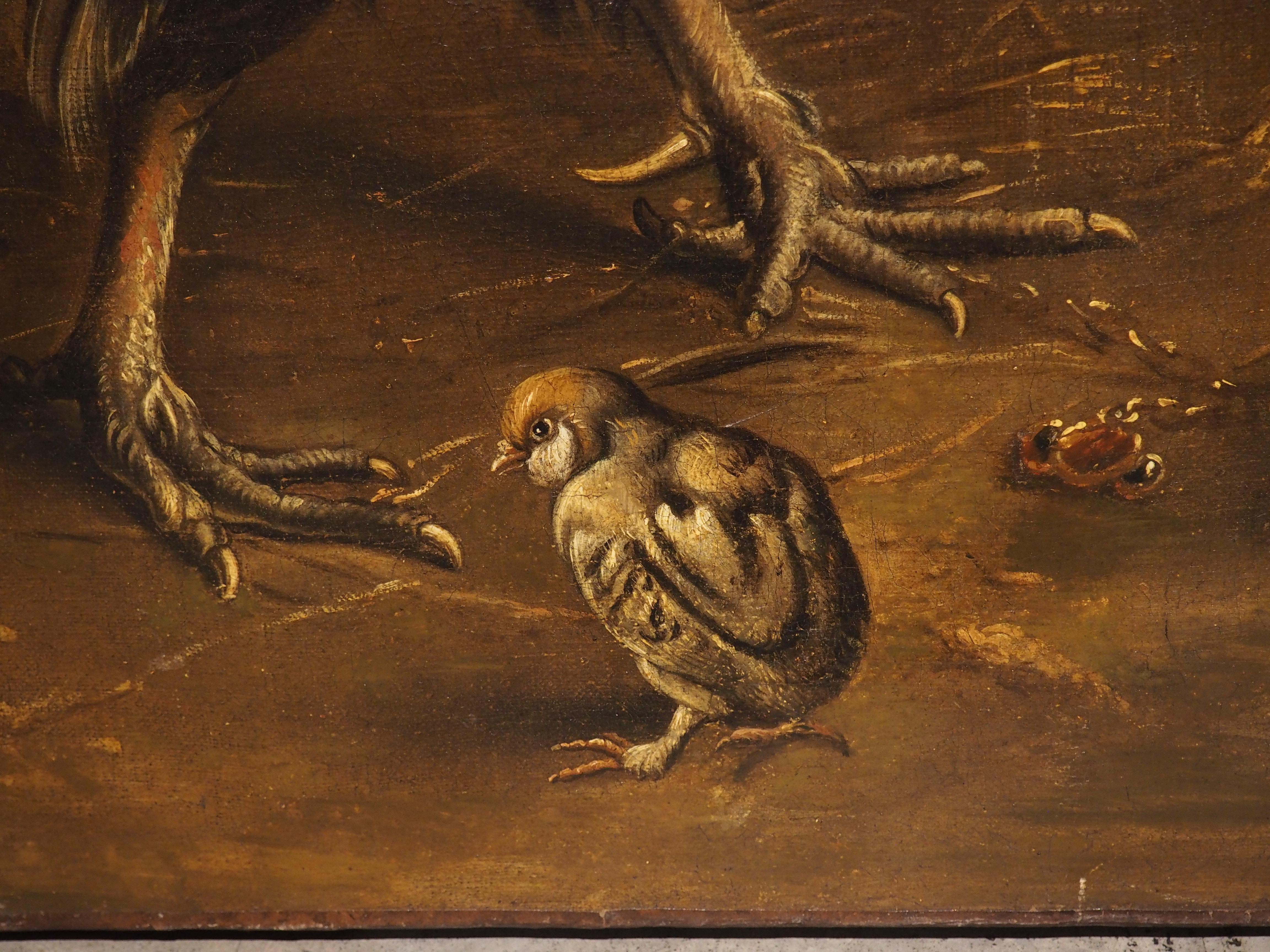 17th C. Dutch Painting of a Flock of Chickens, Attrib. to Melchior Hondecoeter 5