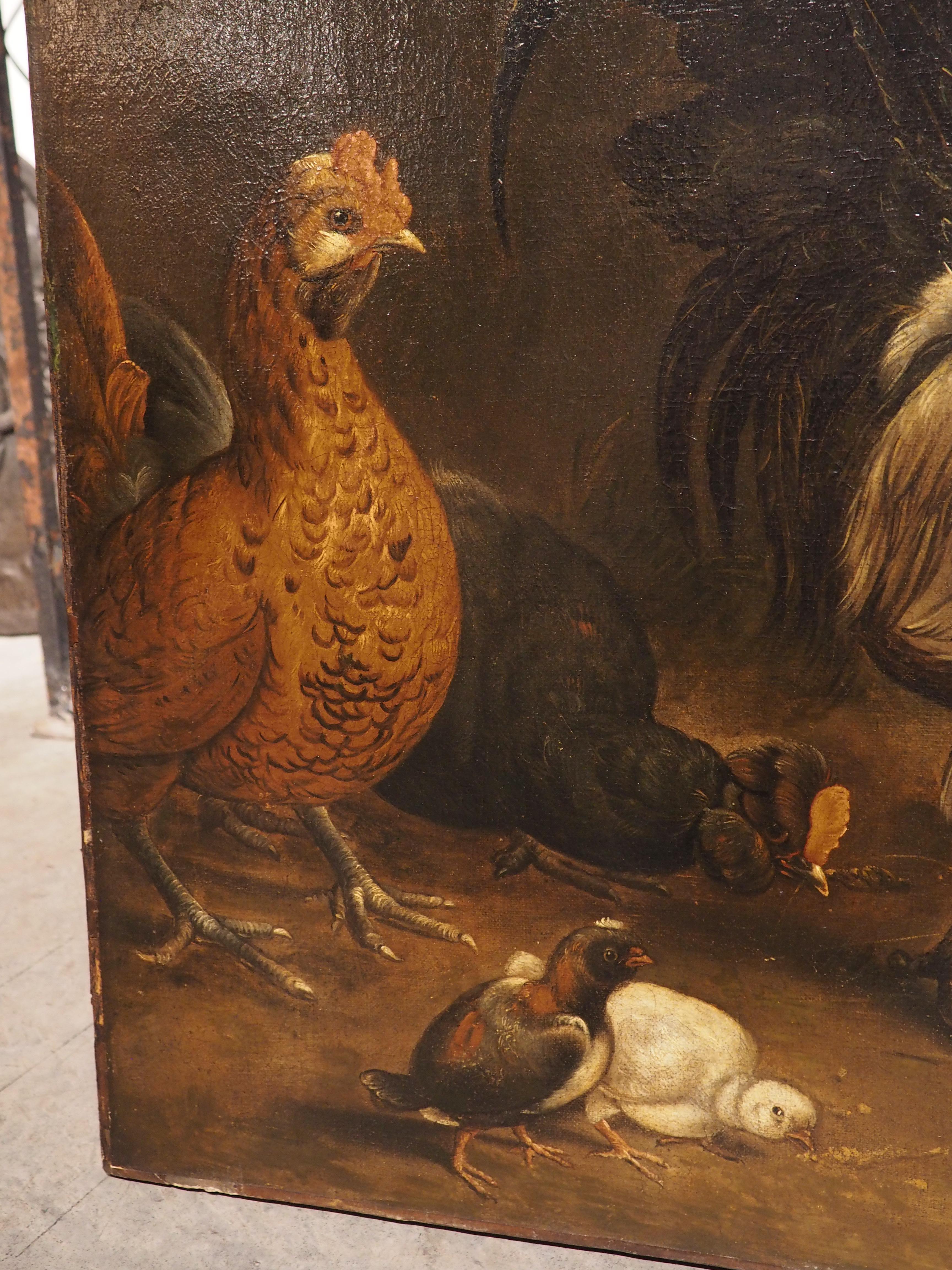 17th C. Dutch Painting of a Flock of Chickens, Attrib. to Melchior Hondecoeter 6