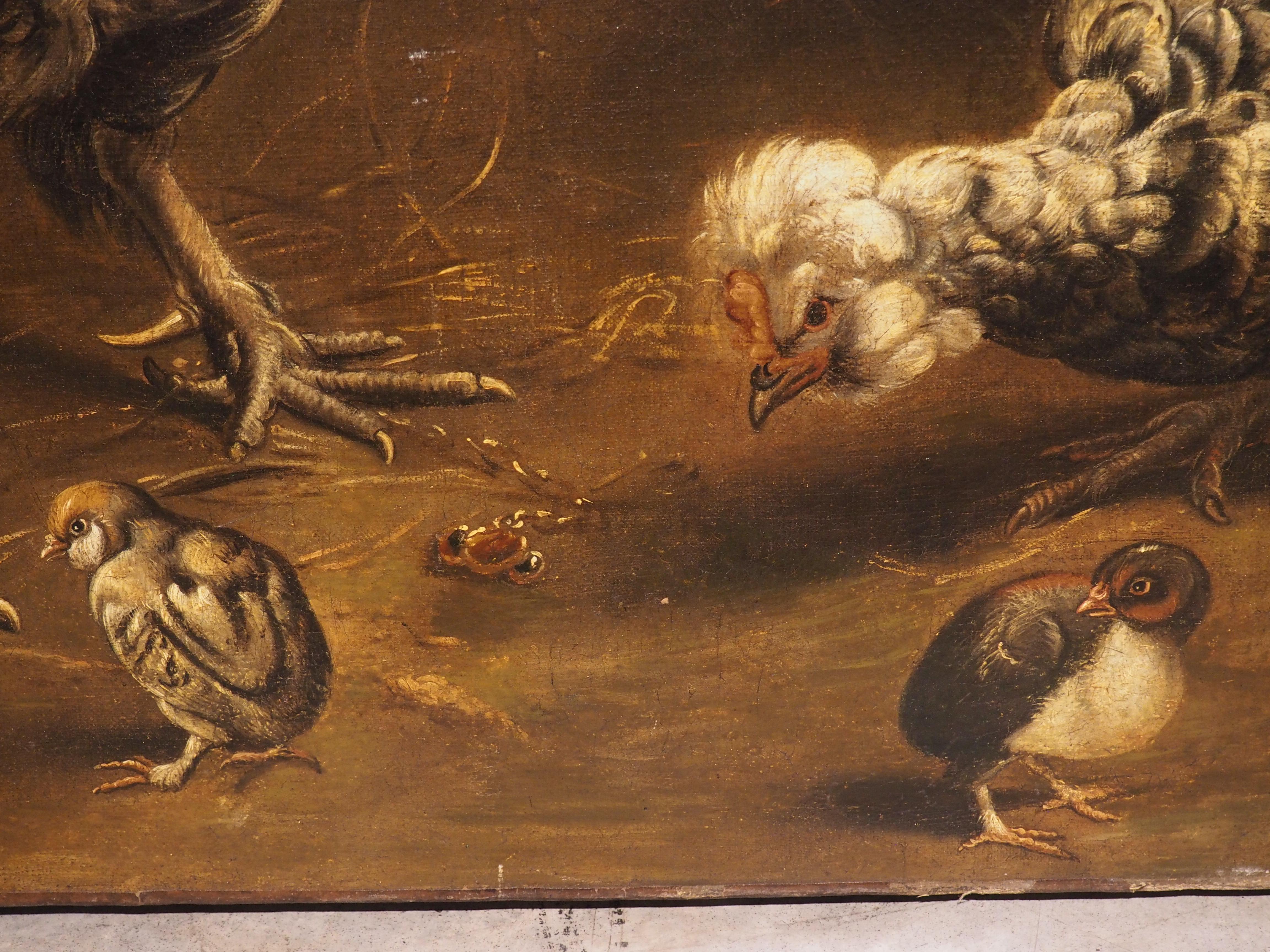 17th C. Dutch Painting of a Flock of Chickens, Attrib. to Melchior Hondecoeter In Good Condition In Dallas, TX