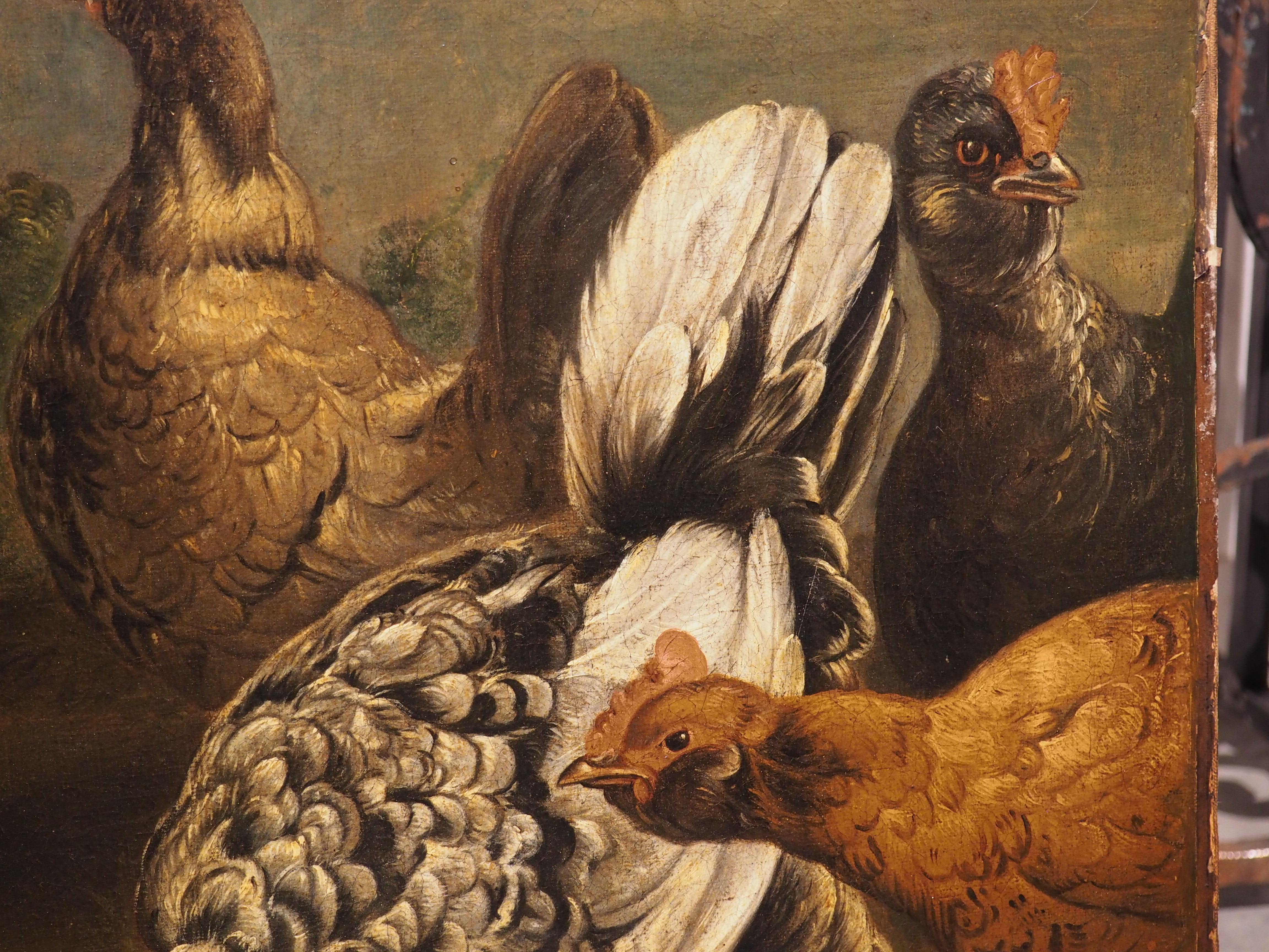 Canvas 17th C. Dutch Painting of a Flock of Chickens, Attrib. to Melchior Hondecoeter