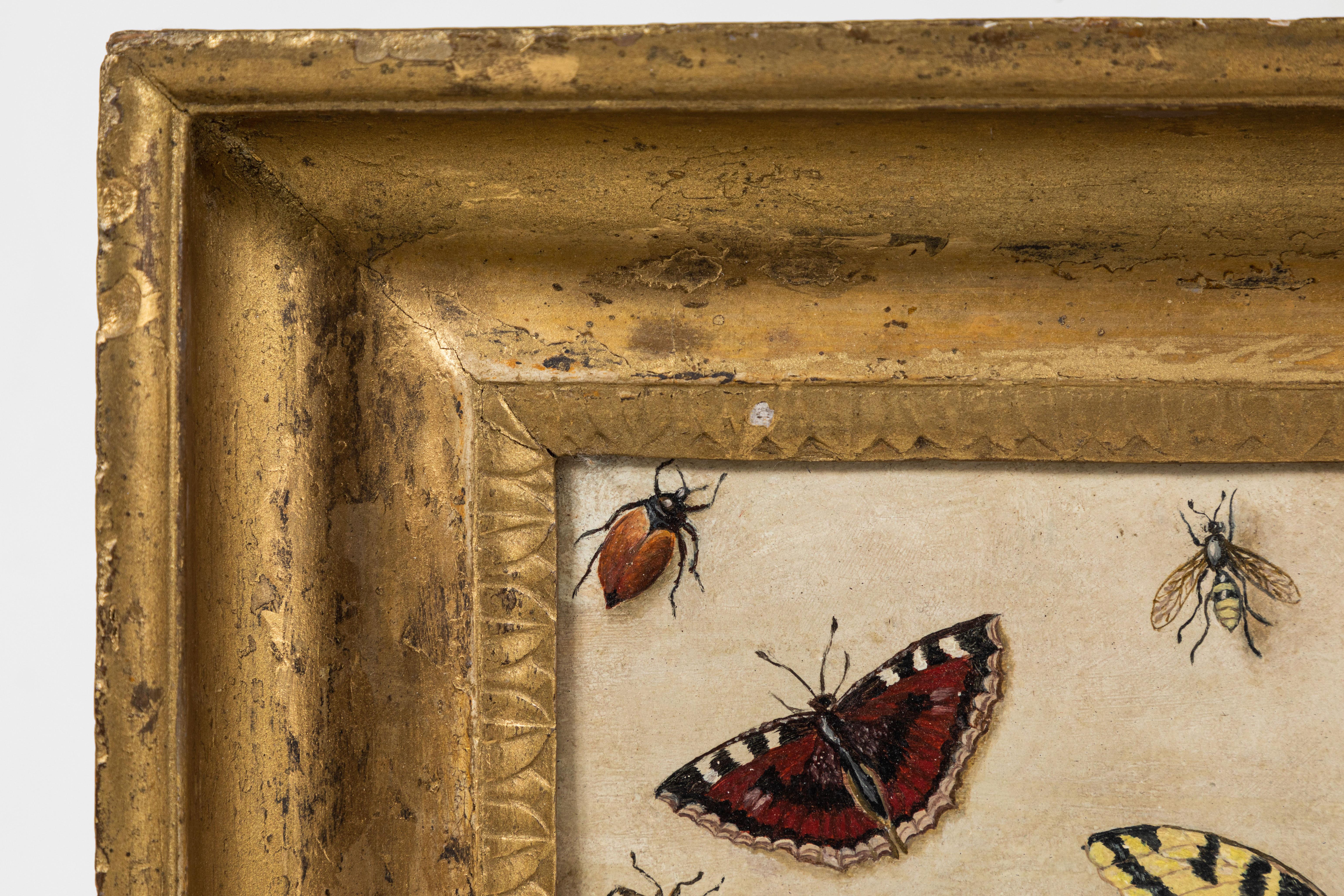 paintings of insects