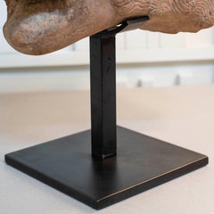 17th C. Romanesque Rosso Verona Italian Lion Head Fragment