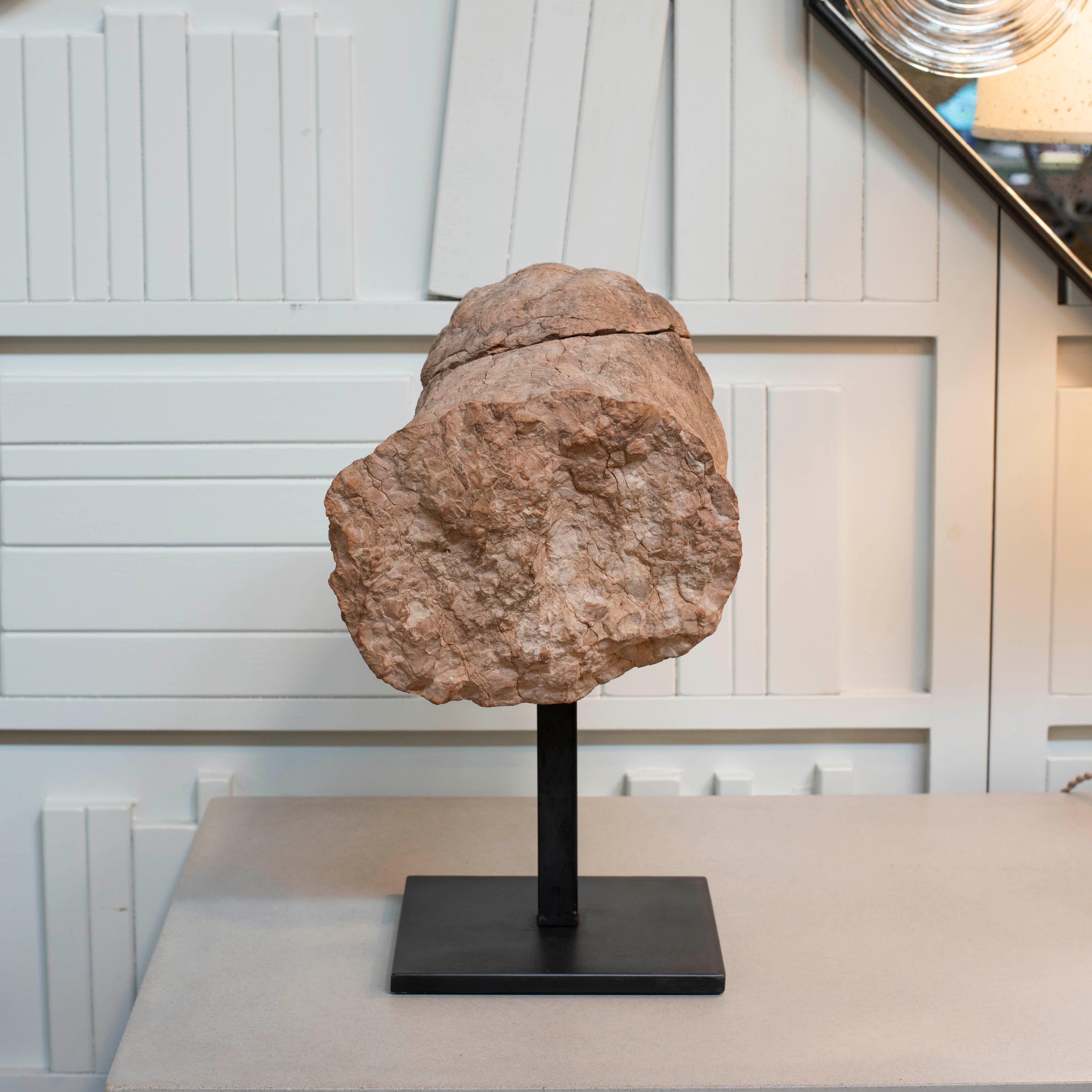 Fino al XVIII secolo Frammento di testa di leone in stile romanico Rosso Verona del XVII secolo in vendita