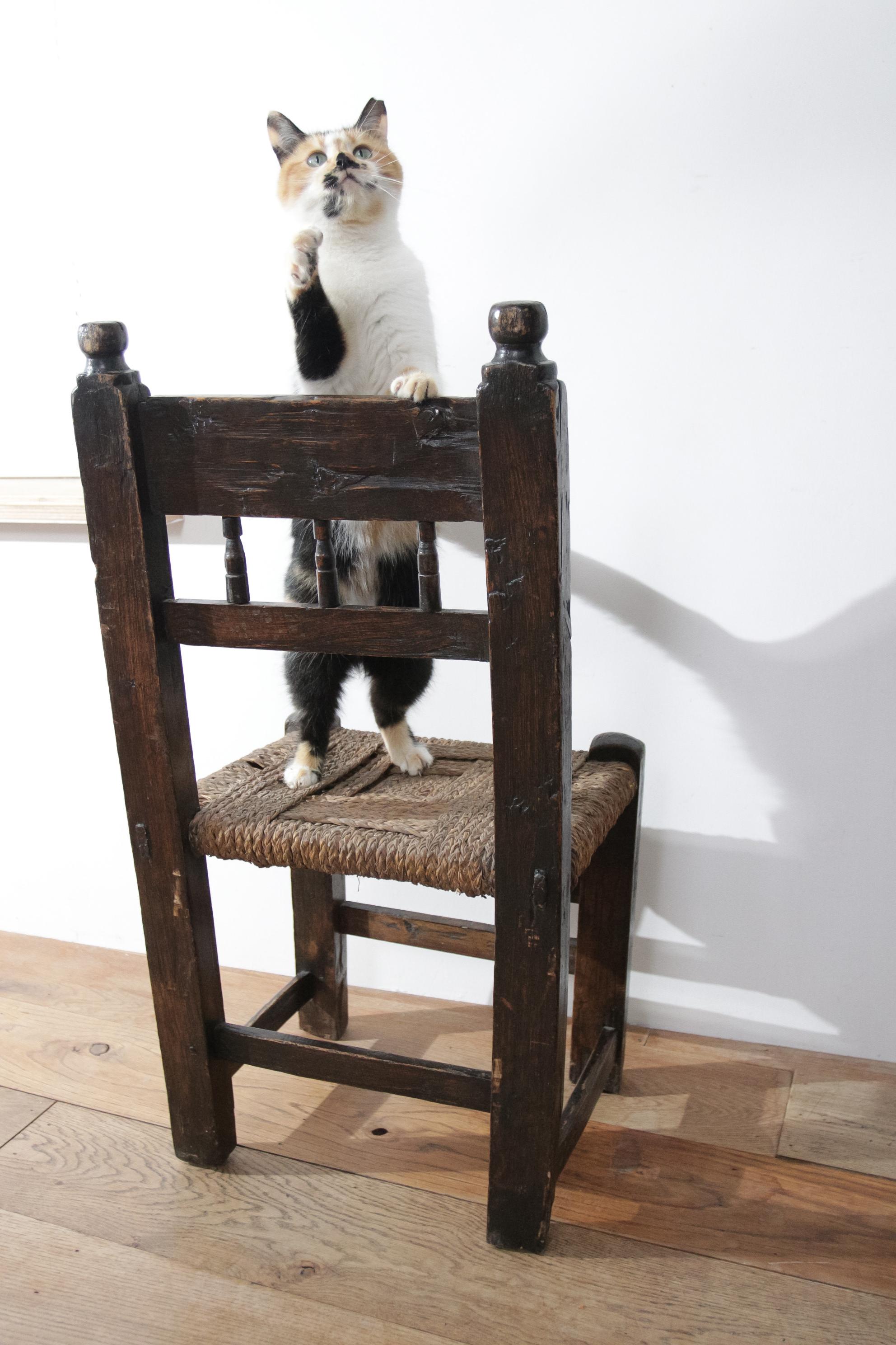 17ème siècle  Chaise d'appoint ancienne Wabi Sabi Livraison gratuite  en vente 8