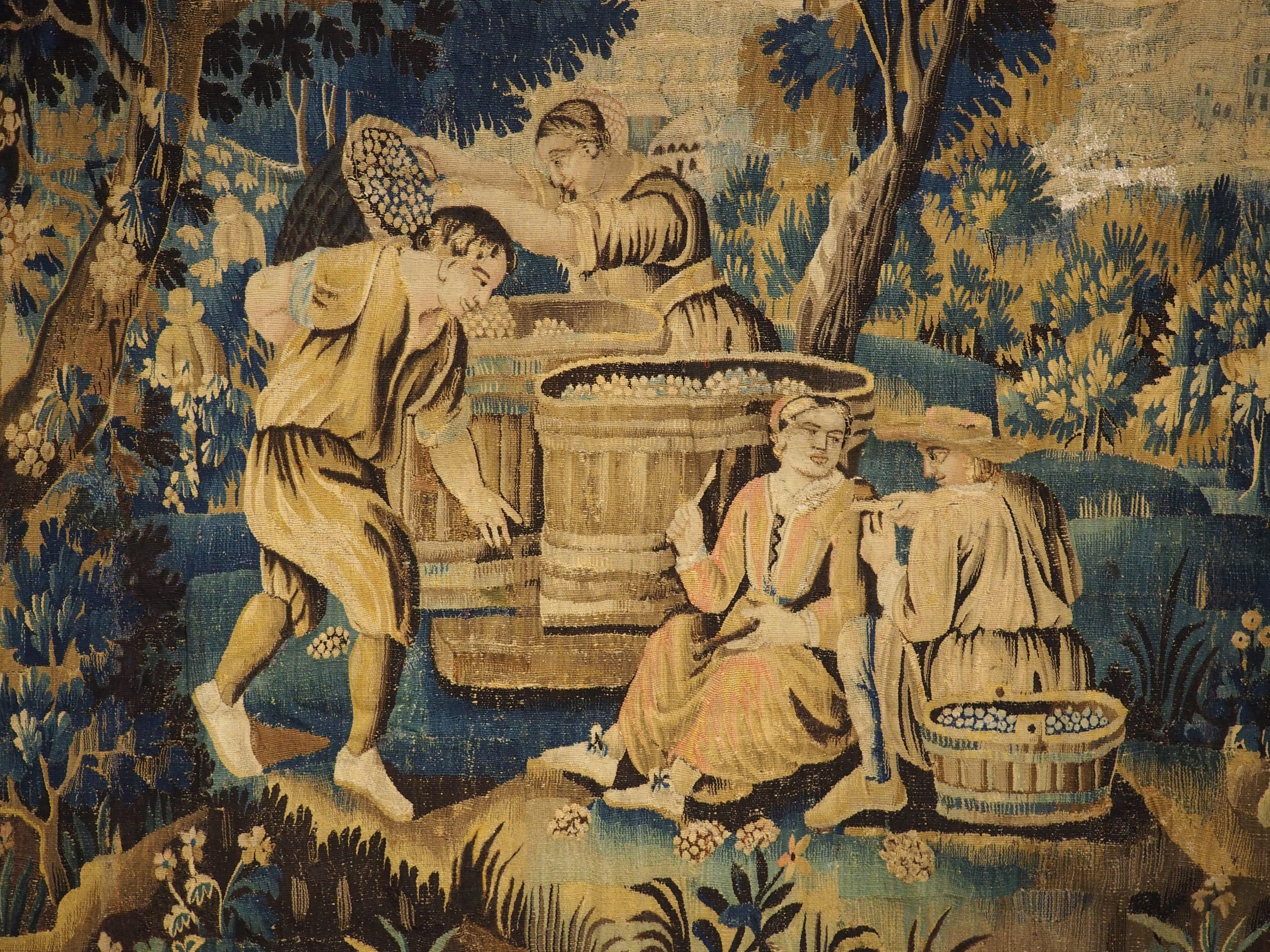 17th Century Aubusson Verdure Bleue Tapestry depicting The Grape Harvest For Sale 8
