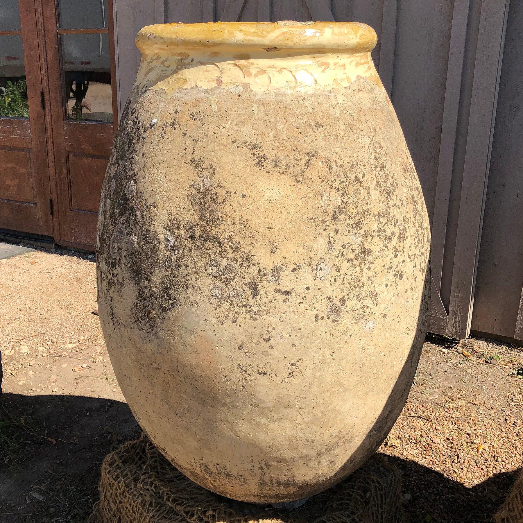 olive pots for sale