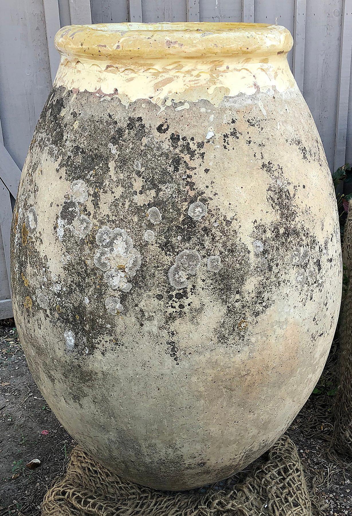 biot pot