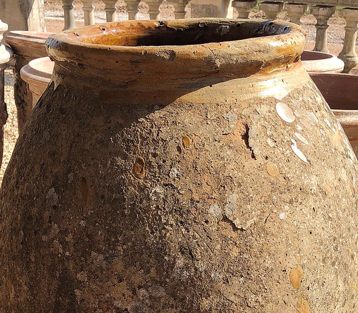 17th century Jar with seven stamps

Classic French antique Biot Olive Oil Jars date back to the 16th century. 
Biot potters worked from generation to generation, and from 1550 to the late 19th century 510 potters have been identified. 
The pots