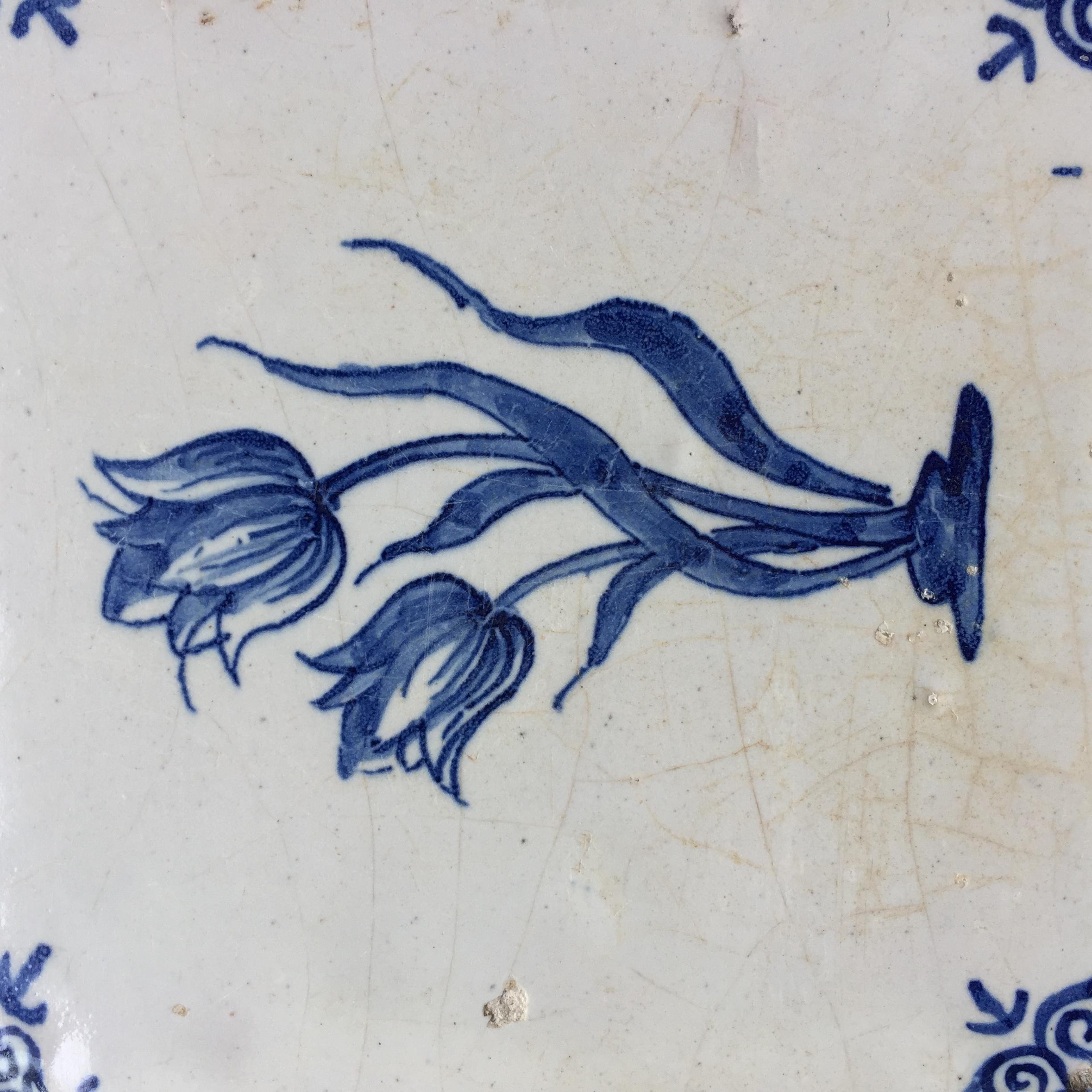 The Netherlands
Circa 1630 – 1660

A finely painted blue and white Dutch Delft tile with the decoration of two tulips.
With so-called oxheads as corner decoration.

The tile is in a good condition, with the normal small chips at the edges according