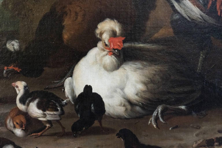 Rococo 17th Century Dutch Painting of Various Birds For Sale