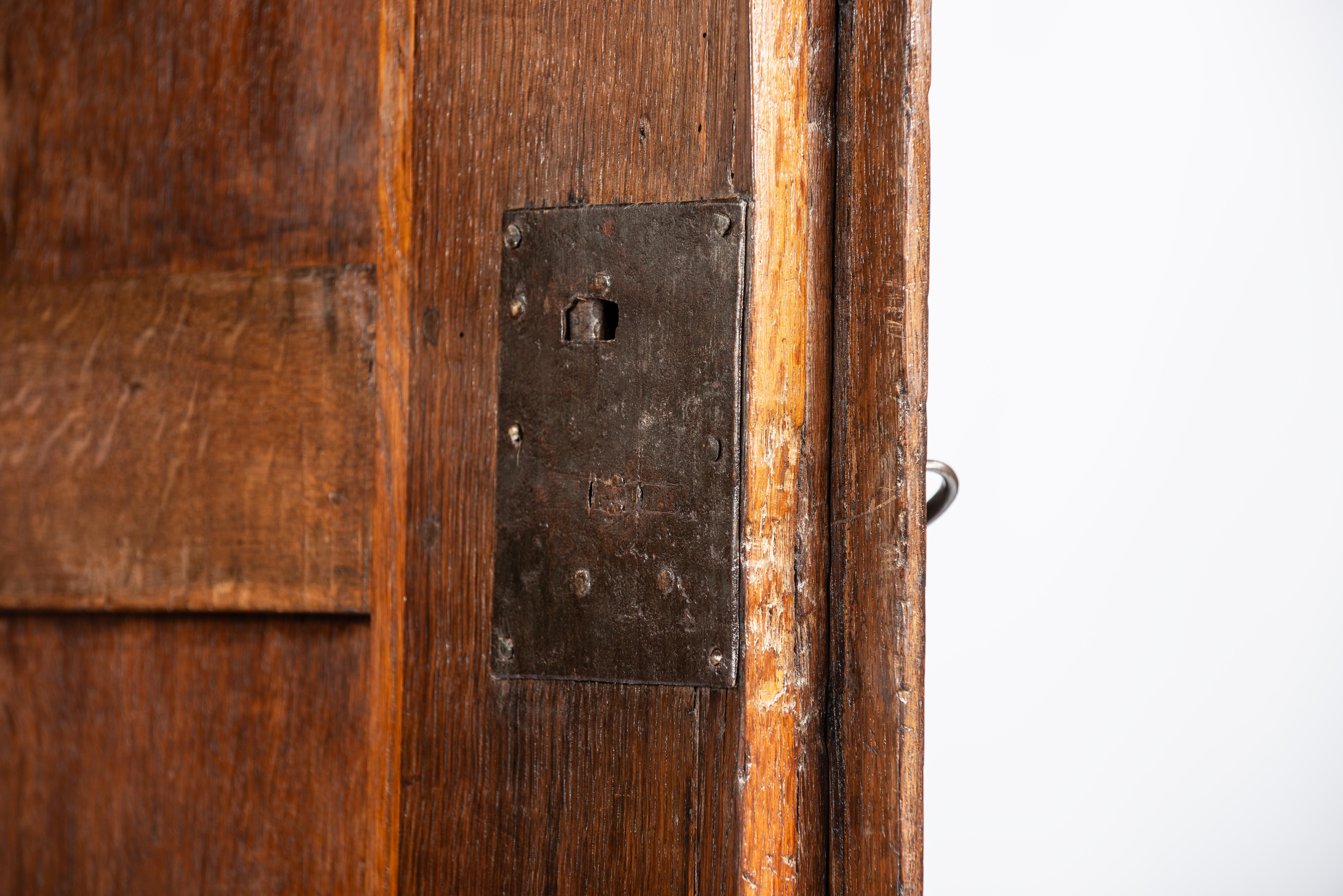 +17th century Dutch renaissance two door portal cabinet with exotic carvings For Sale 8