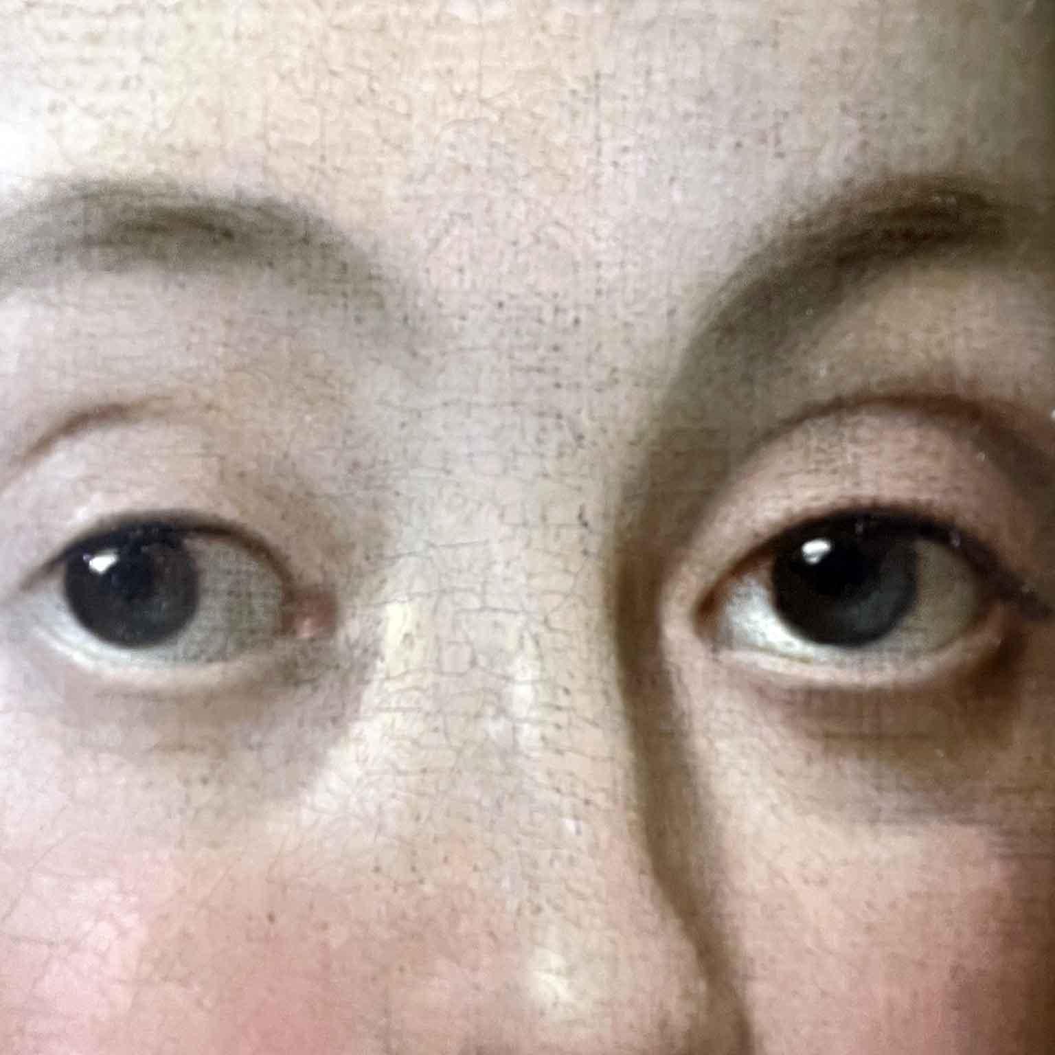 Dorato Ritratto di scuola inglese del XVII secolo di una giovane donna come la vedova Jane Bromley in vendita