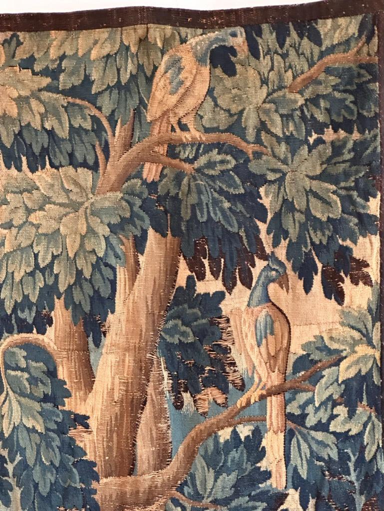 A Flemish verdure tapestry fragment, 17th century, depicting exotic birds on tree branches.  Exceptionally rich colors.  57” h  x 40” w. 
