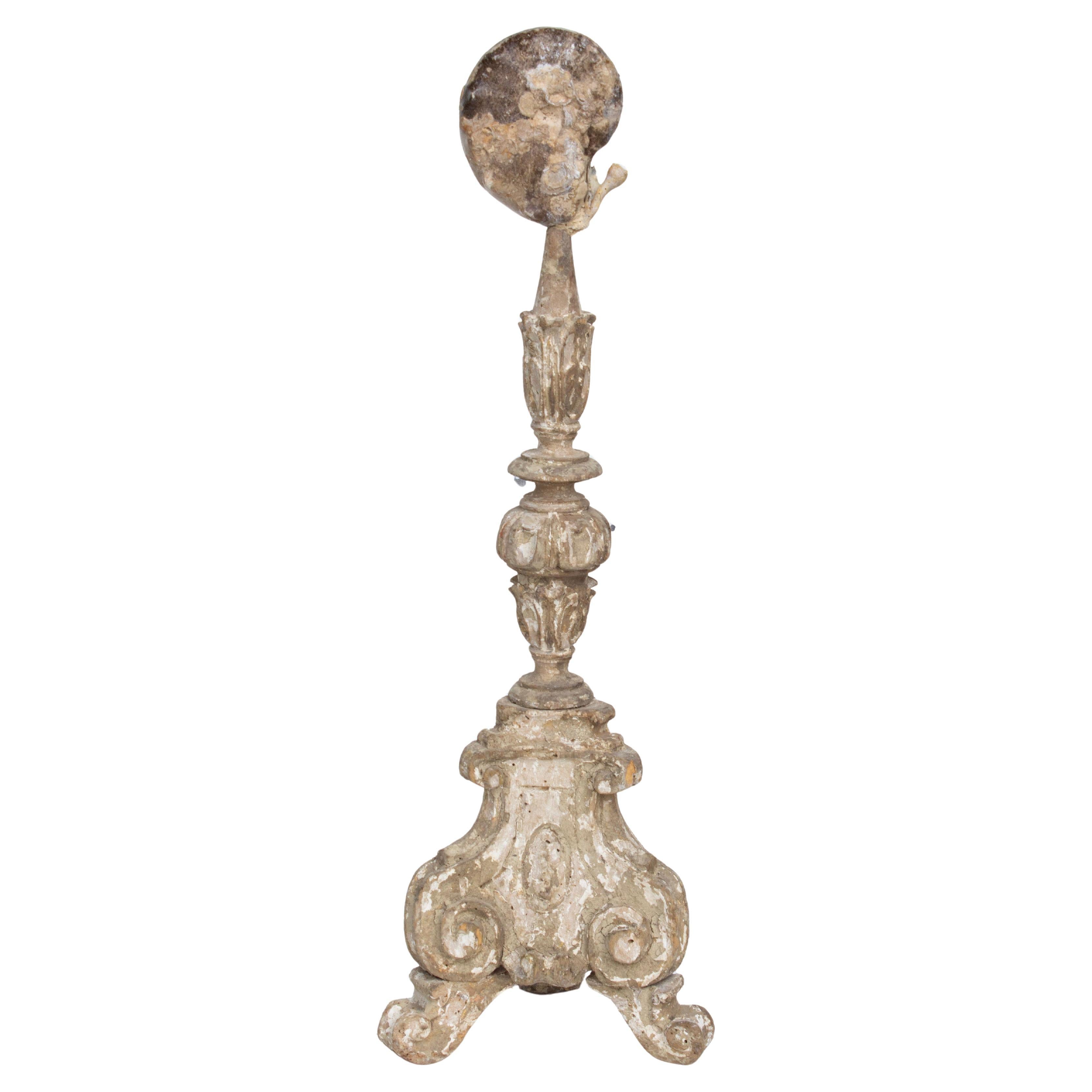 Chandelier Flora Fragment du 17e siècle avec coquillage Ammonite naturel