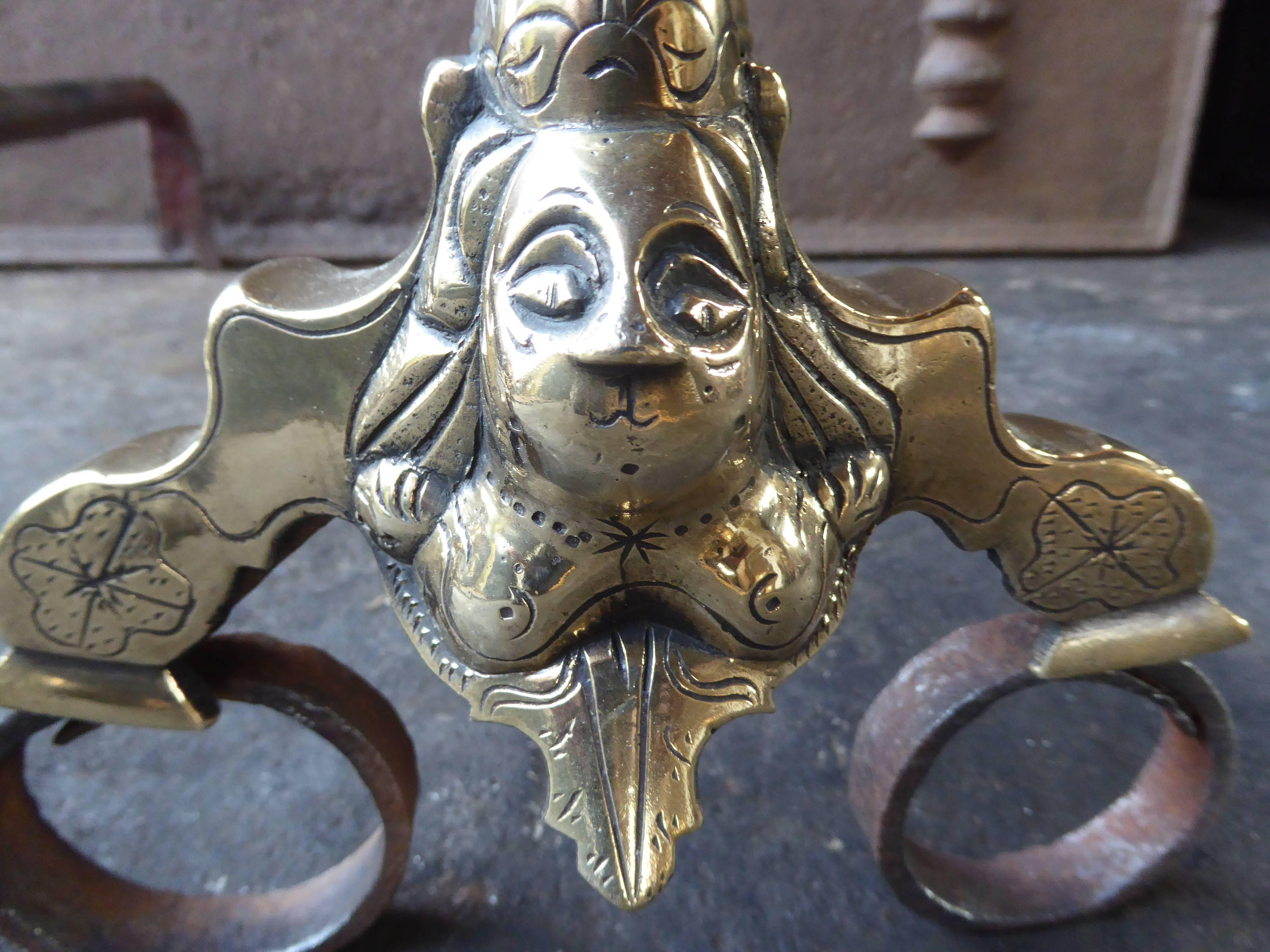 17th Century French Louis XIV Andirons or Firedogs For Sale 2