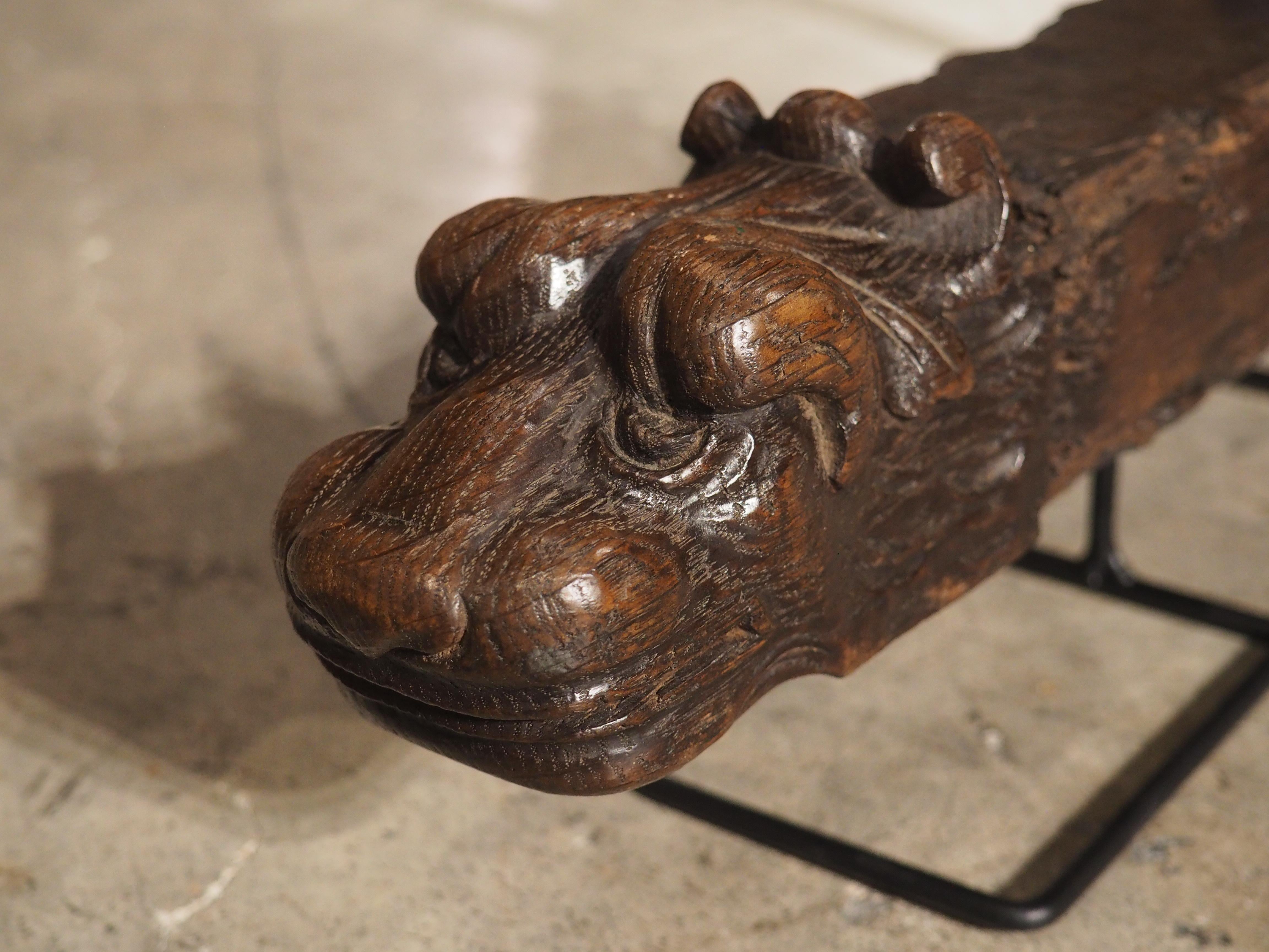 17th Century French Oak Lion Heads Sculpture on Iron Stand 2