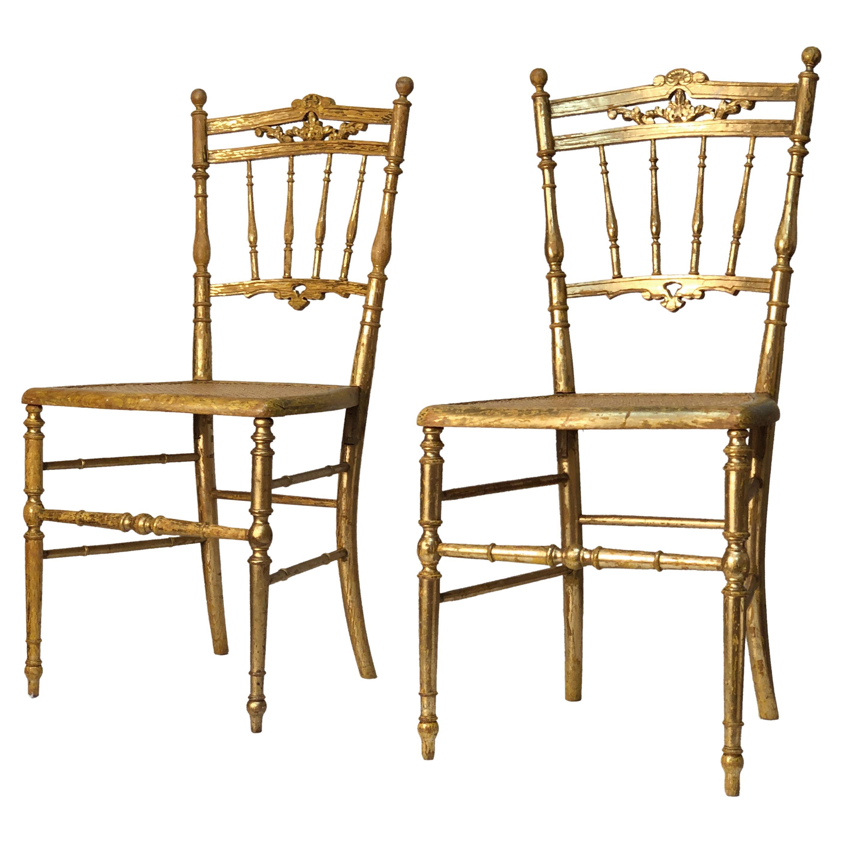 Vergoldete italienische Chiavari-Stühle des 17. Jahrhunderts