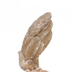 17th Century Italian Angel Wing with a Calcite Crystals on an Antique Wood Base