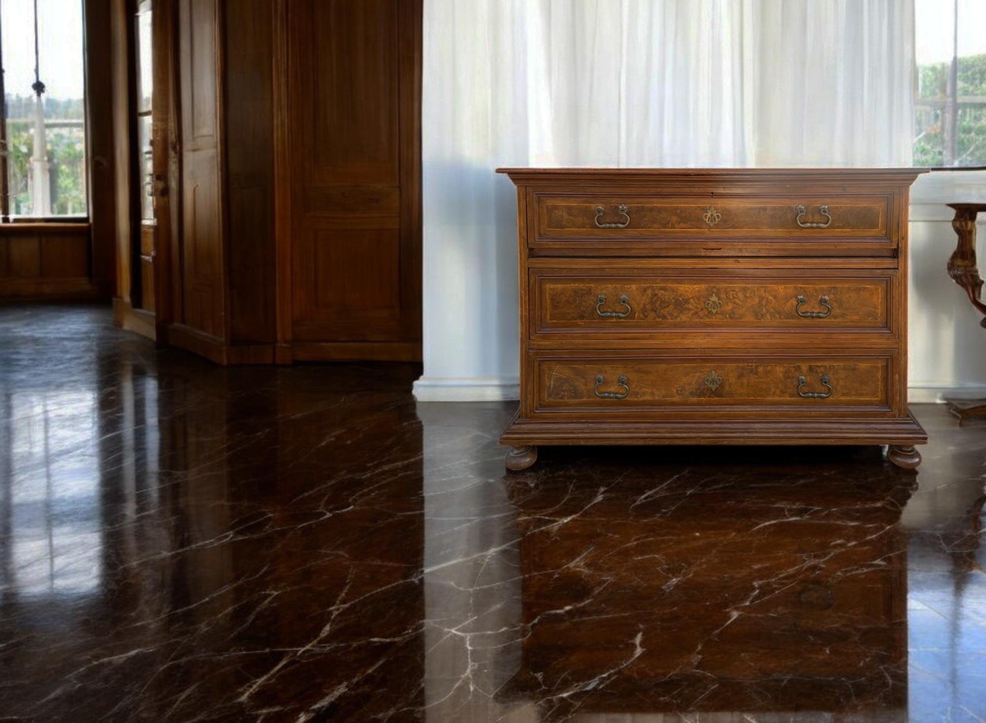 17th Century Italian Commode with Secretaire For Sale 12