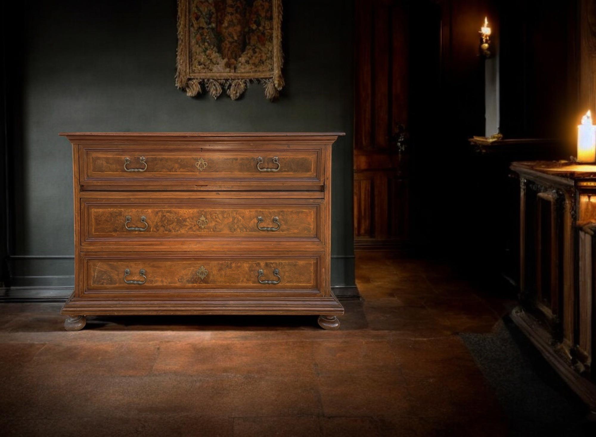 17th Century Italian Commode with Secretaire For Sale 2